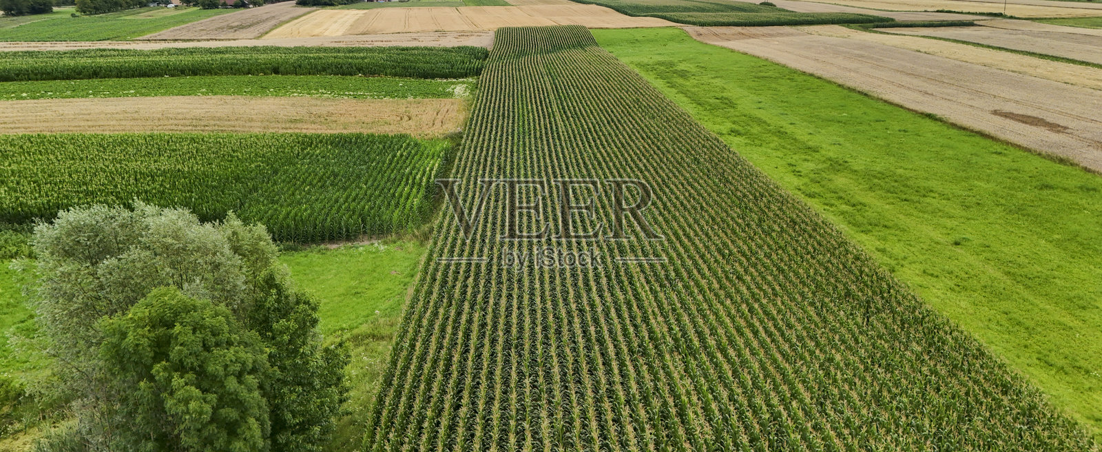 夏日农田的壮丽航拍,金黄与翠绿的作物交织,展现了农场的勃勃生机。非常适合农业主题和可持续发展宣传。照片摄影图片