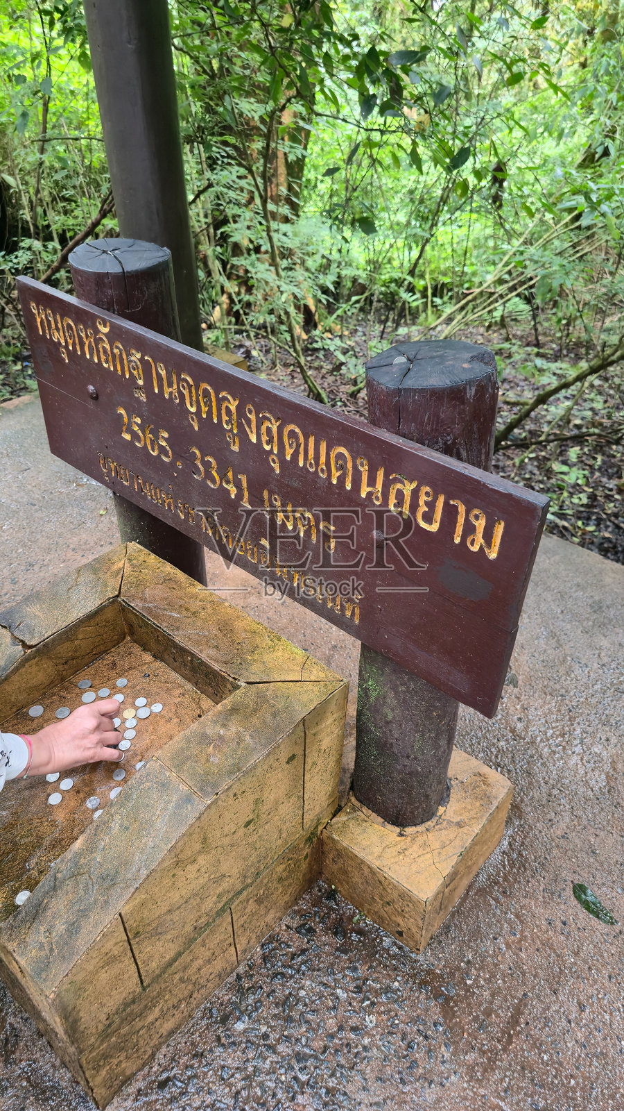 在泰国清迈郁郁葱葱的热带雨林环境中发现了一个天然泉水水源照片摄影图片