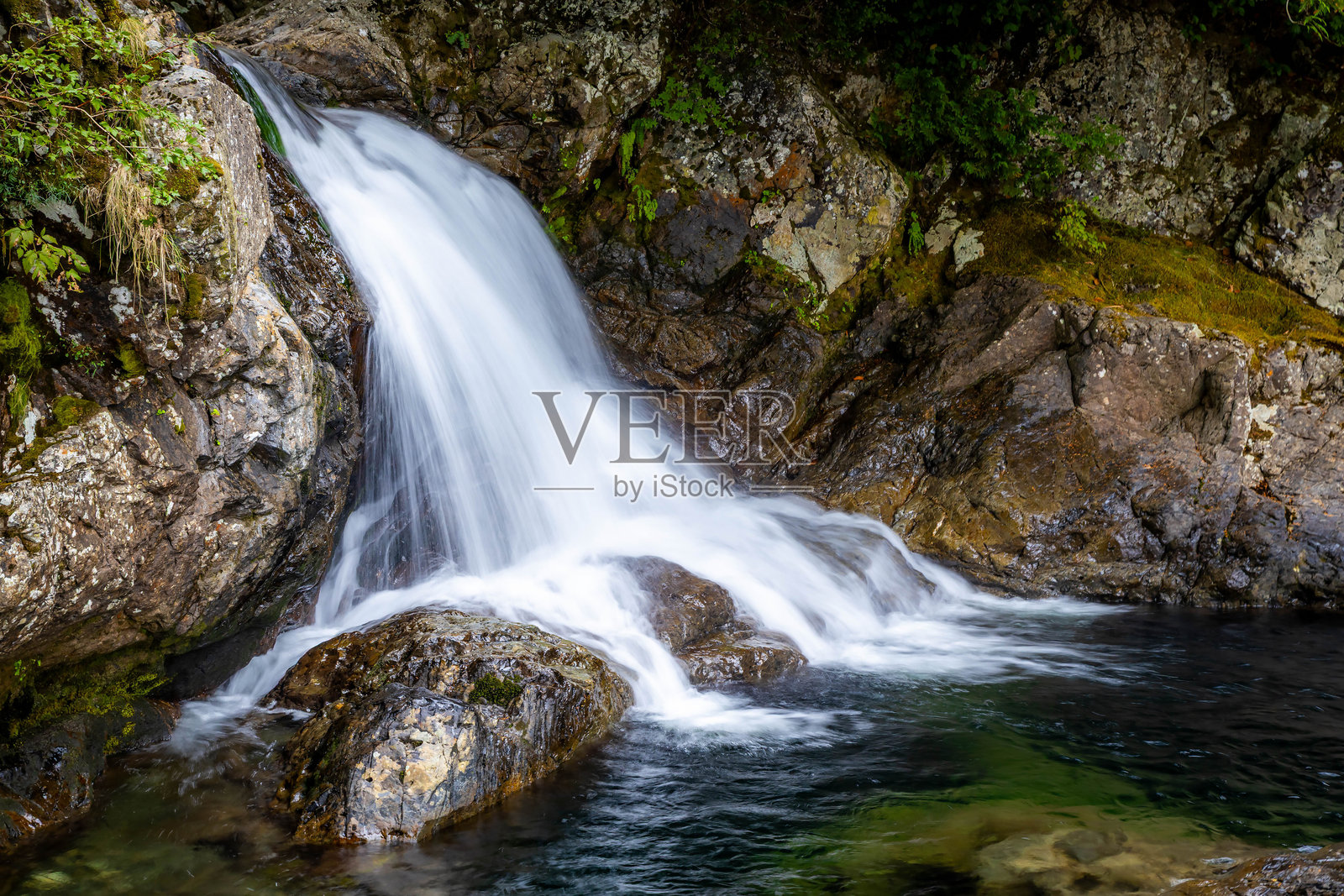 下方华莱士瀑布,四周环绕着生机勃勃的苔藓和森林照片摄影图片