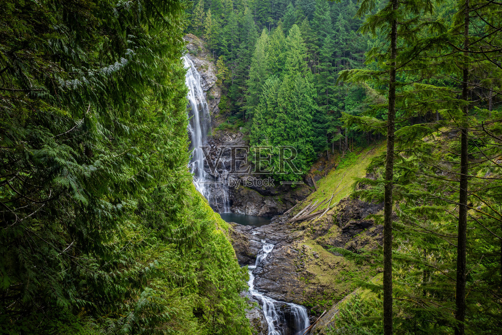 下华莱士瀑布,周围环绕着生机勃勃的苔藓和森林照片摄影图片