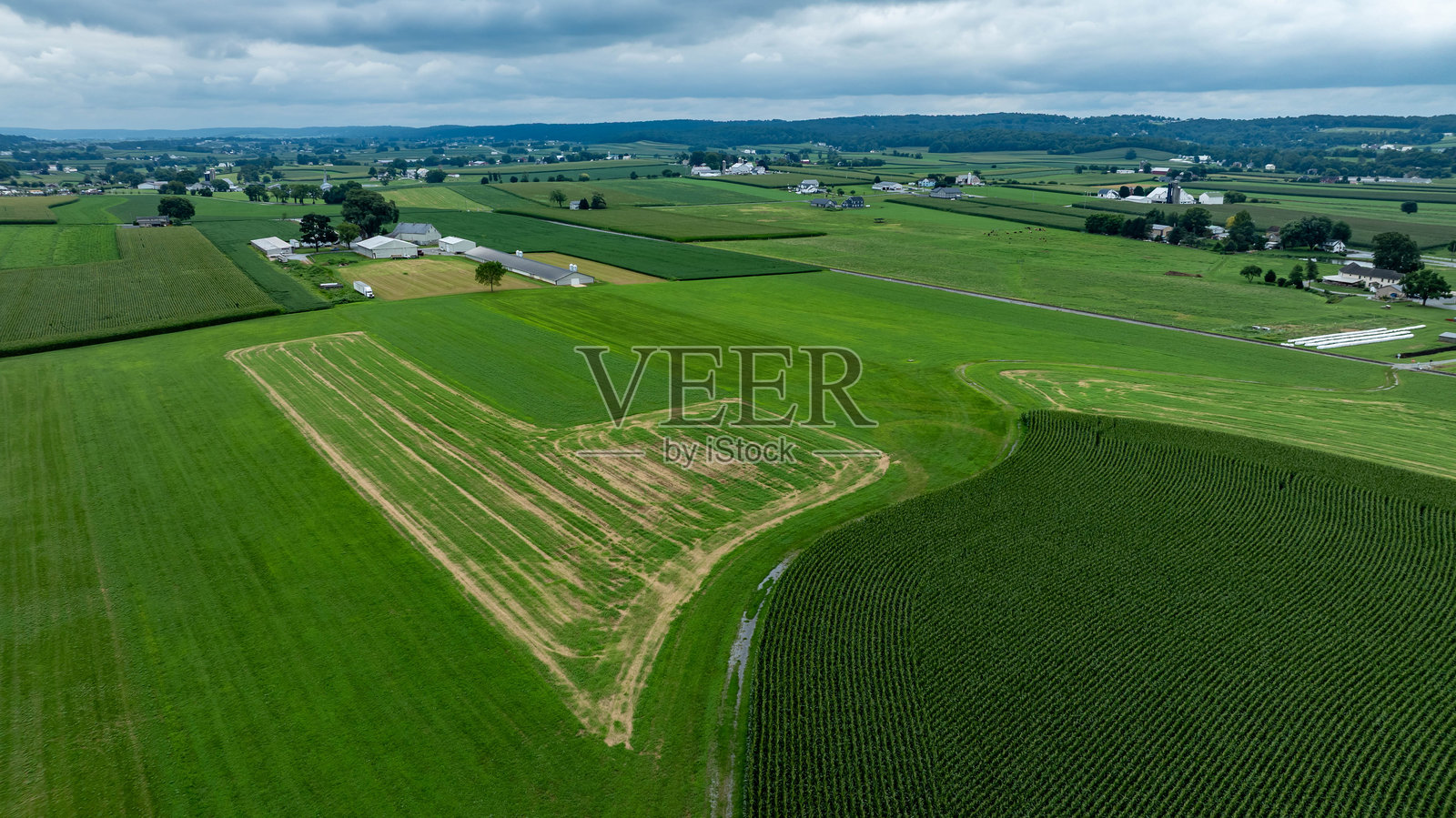 阴天白日下,广阔的绿色田野和农田绵延整个大地。照片摄影图片