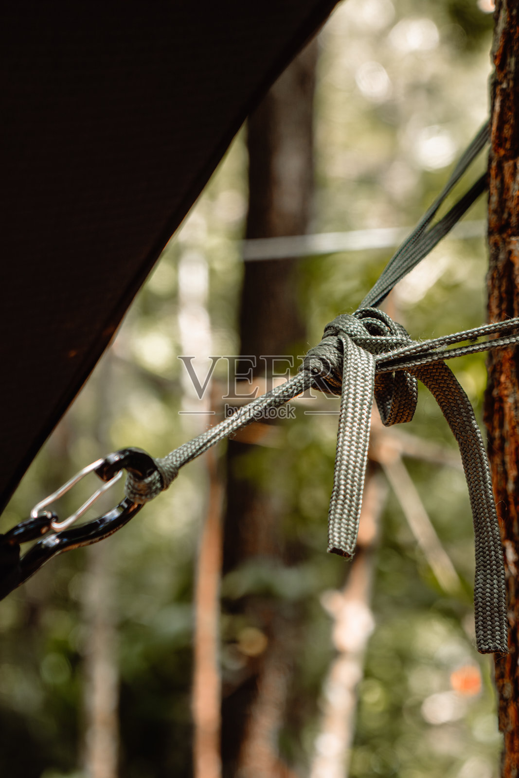 一根绿色的伞绳在固定在树上的登山扣上打了一个牢固的结,这是一张细节丰富的垂直拍摄照片。照片摄影图片