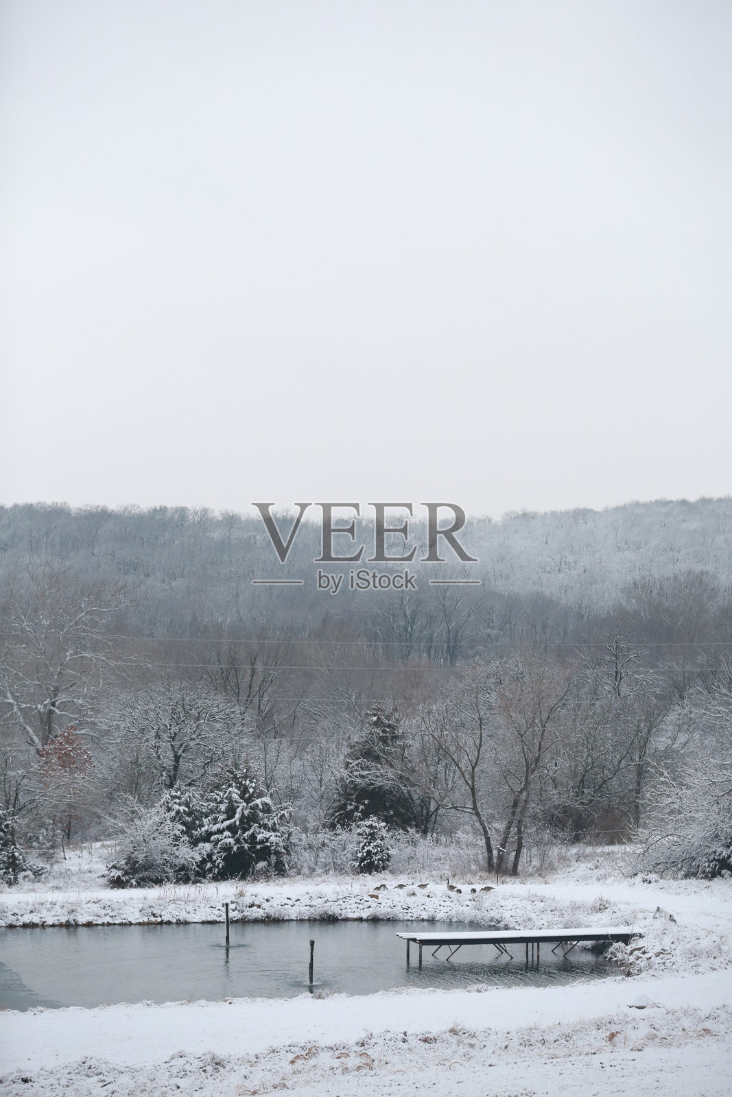 冬季雪景,一池静谧的湖水和光秃秃的树木照片摄影图片