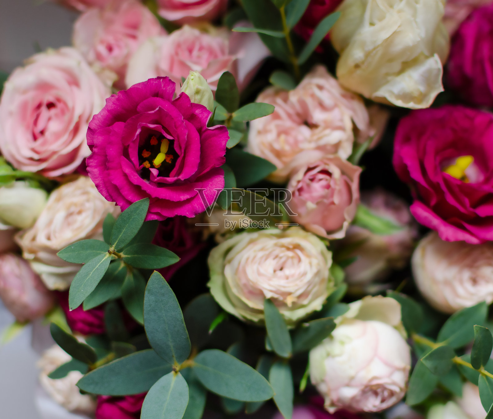 柔和的自然光下,一束由粉色和奶油色花朵搭配绿叶组成的鲜艳花束,布置得十分精美。照片摄影图片