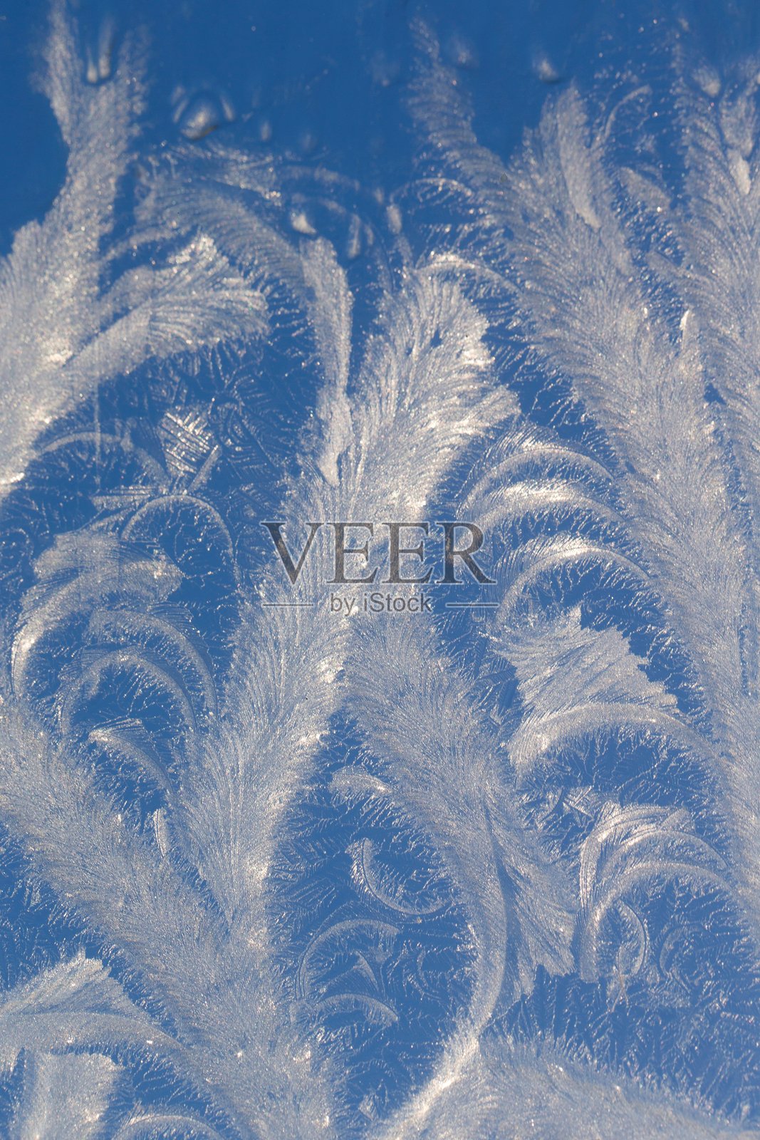 冬日冰封的窗户,霜花凝结成各种图案。照片摄影图片