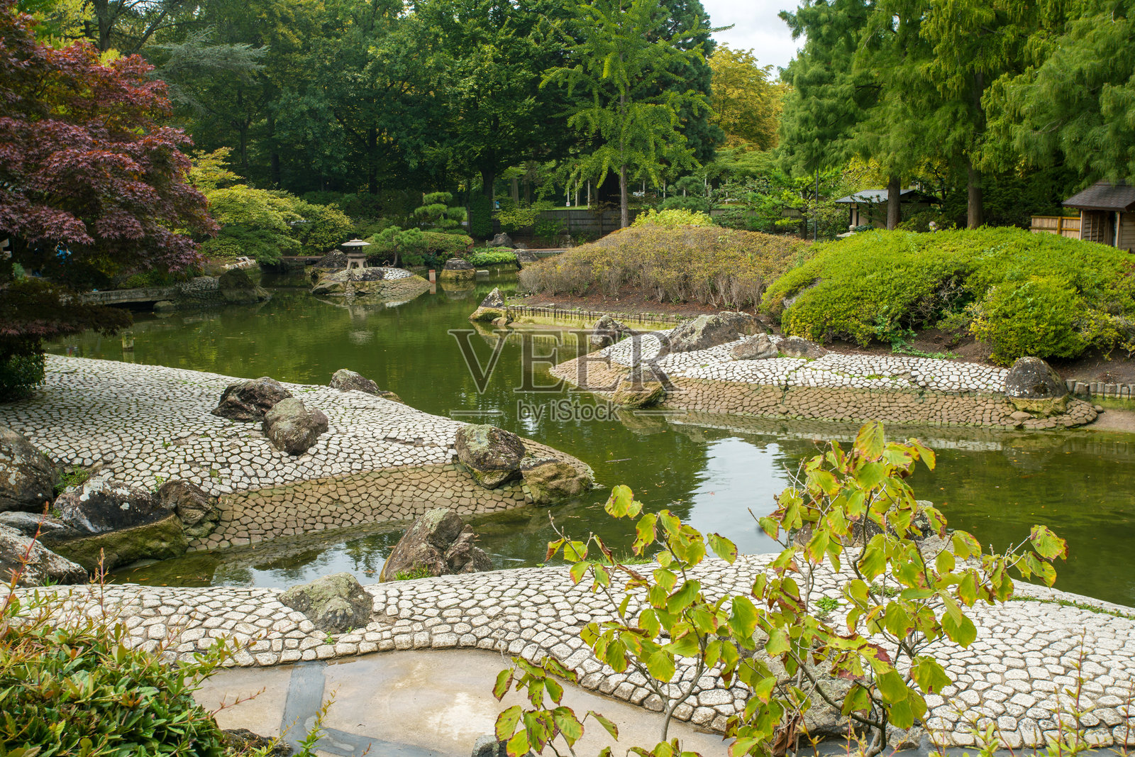 日式风格的池塘和岸边 - 波恩的日式花园照片摄影图片