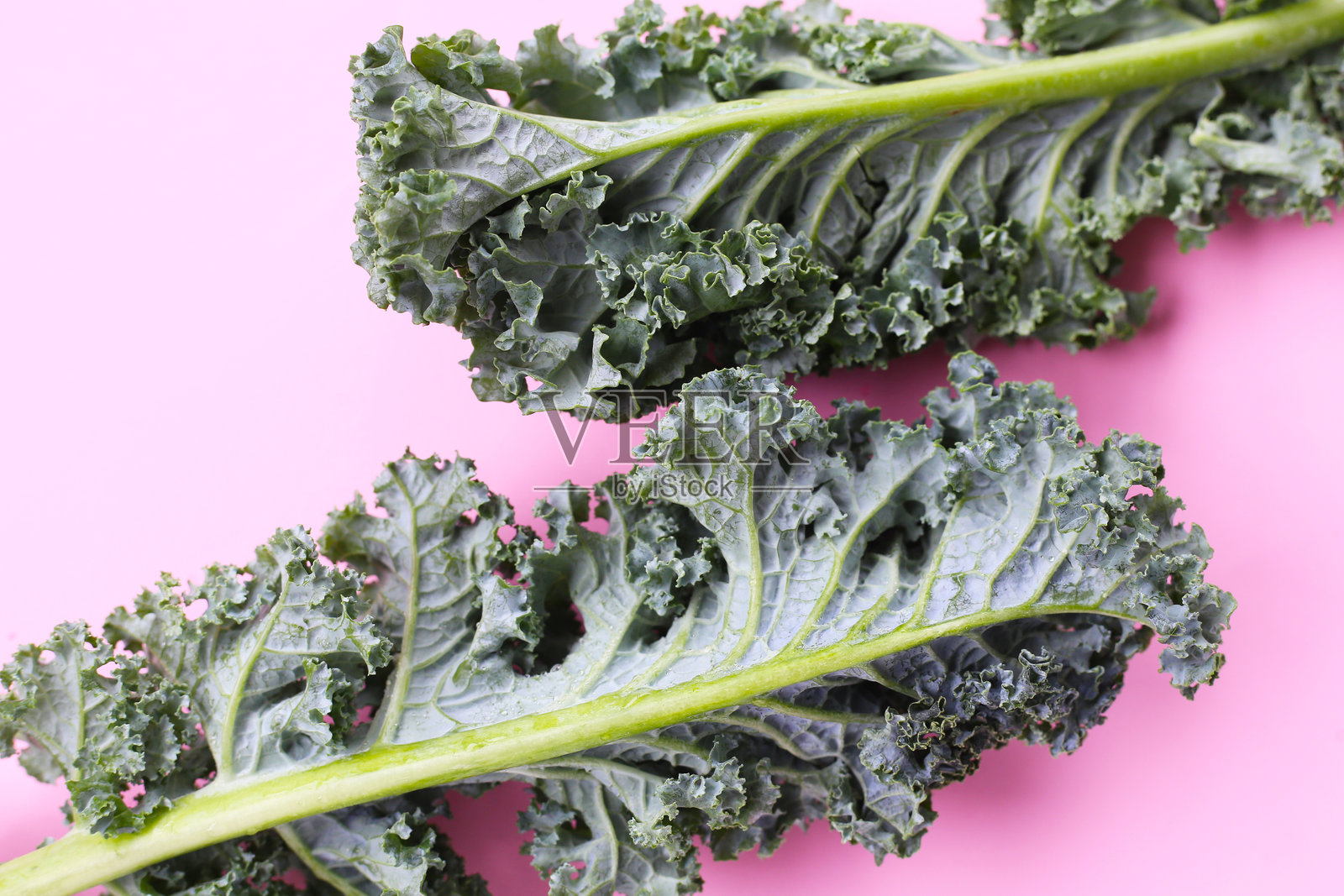 卷曲羽衣甘蓝叶,新鲜的绿色蔬菜照片摄影图片