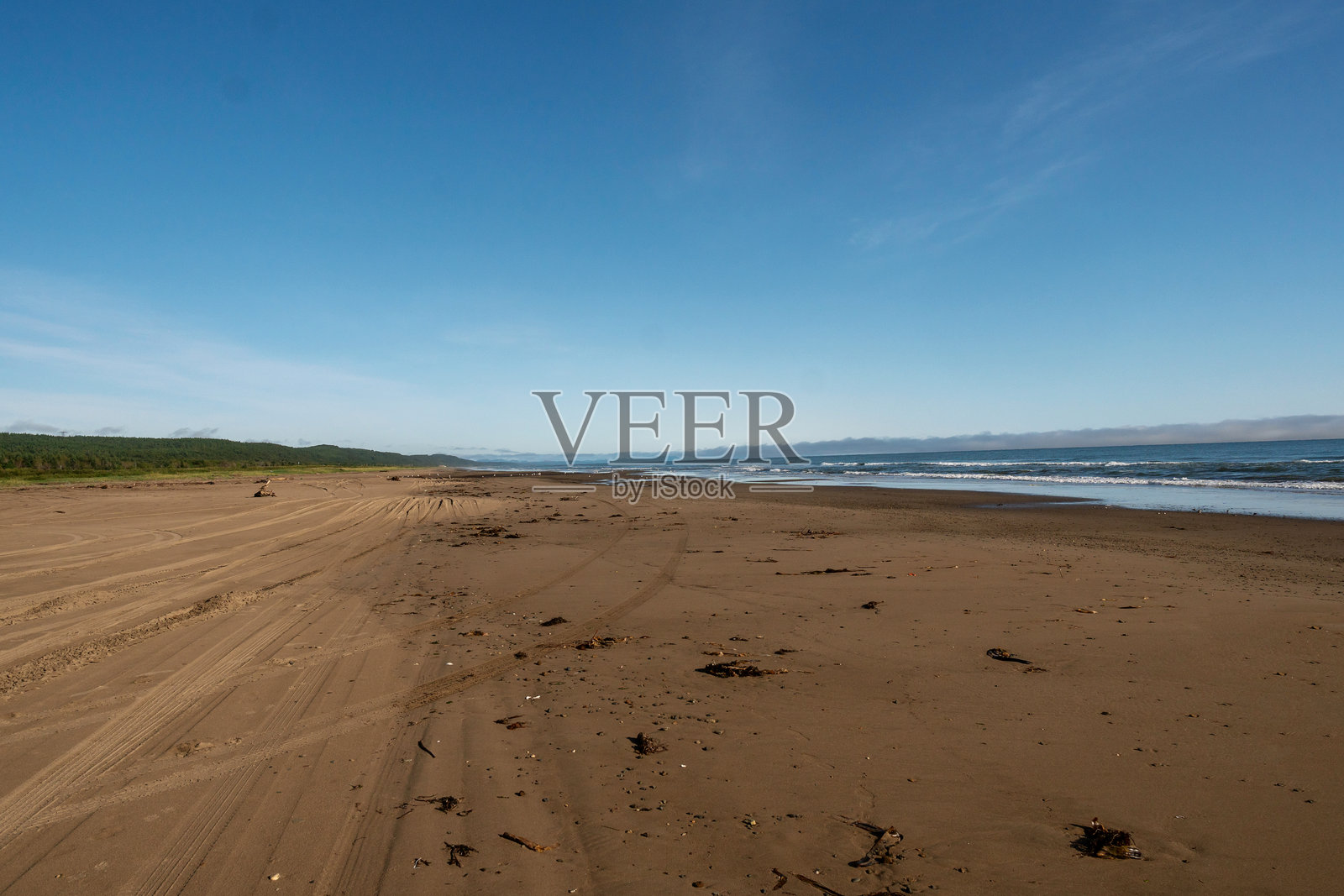 宽阔的沙滩海岸,远方地平线附近散落着漂流木照片摄影图片