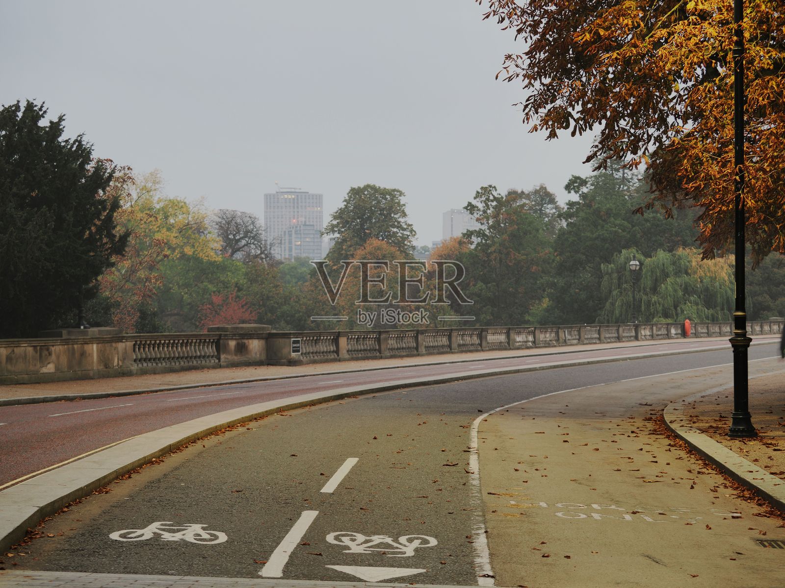 雾锁伦敦,秋日清晨的肯辛顿花园小径照片摄影图片