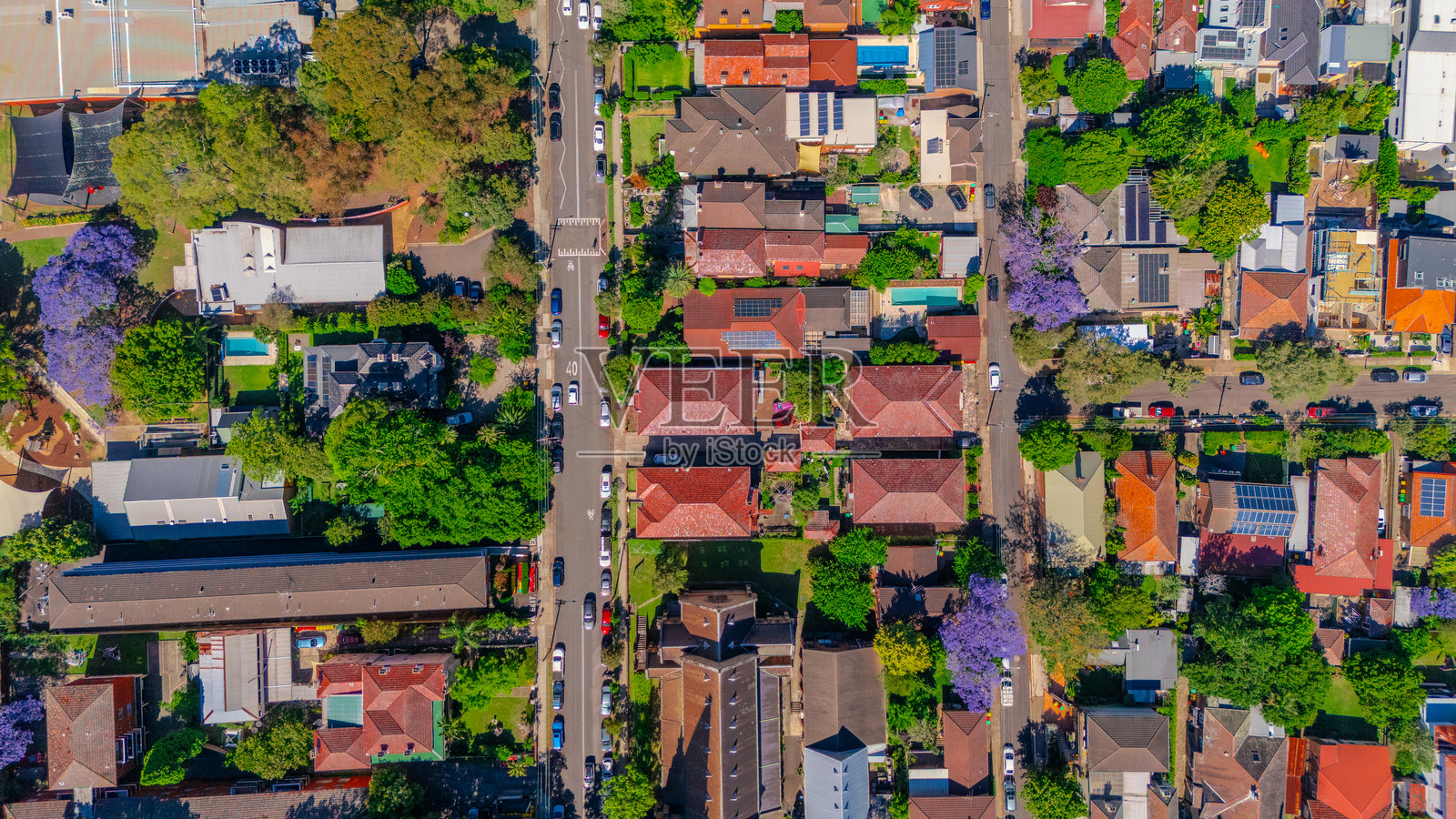 澳大利亚新南威尔士州悉尼郊区联邦风格住宅的夏季山、刘易舍姆和阿什菲尔德的全景航拍图照片摄影图片