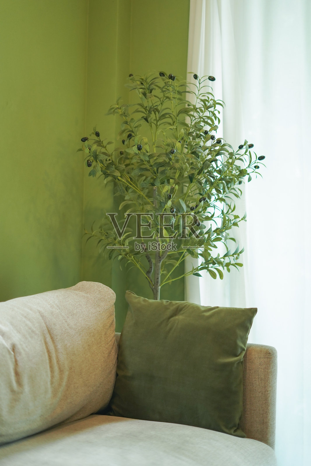 房屋的沙发角落用植物装饰。照片摄影图片