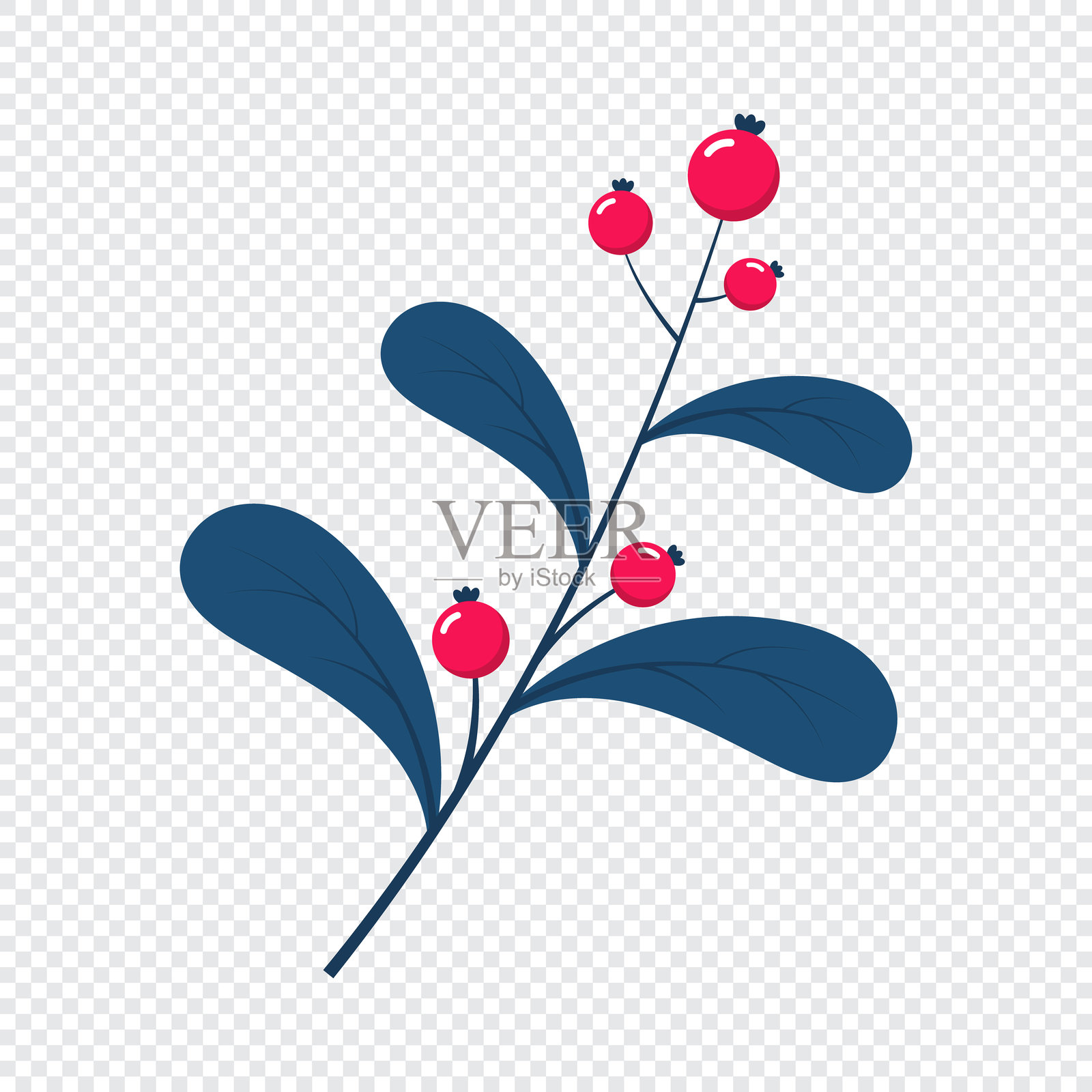 红色的浆果。冬季植物。冬季枝叶。冬季花卉元素。节日装饰。矢量图插画图片素材