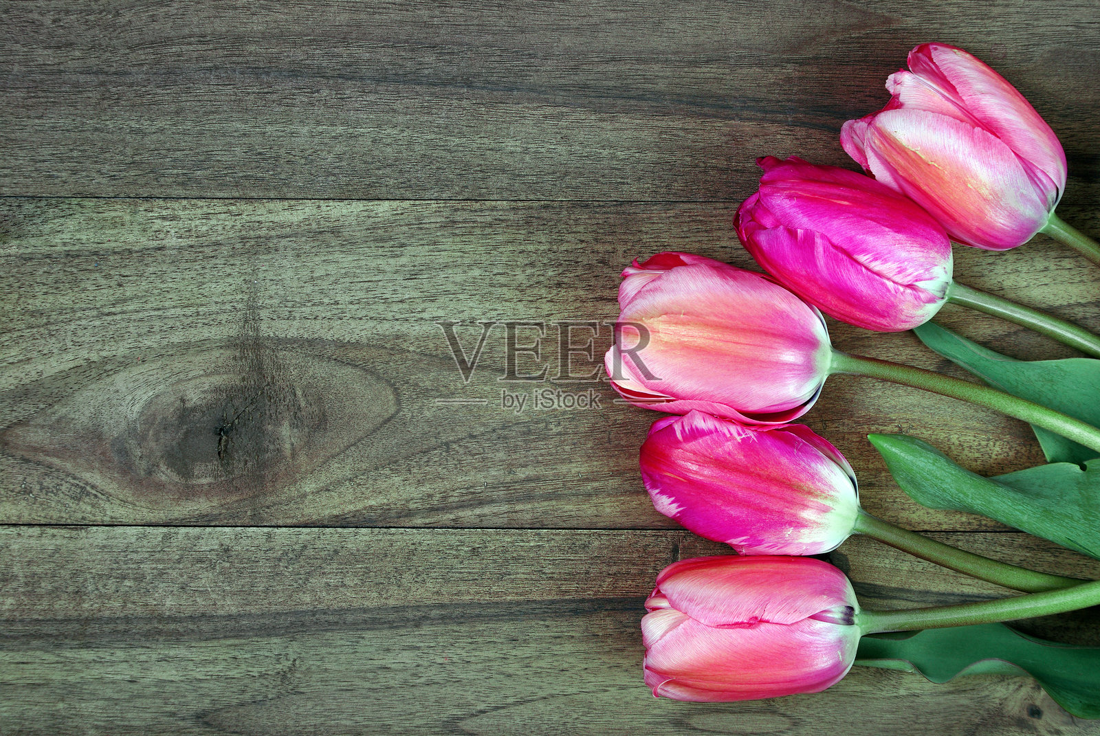 木桌上的郁金香花束。俯视。留白。照片摄影图片