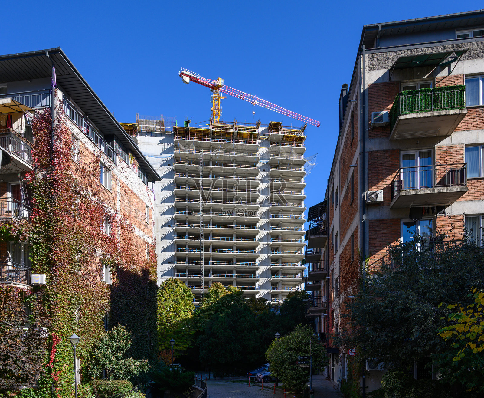 北欧风格的红砖房,爬满了野葡萄照片摄影图片