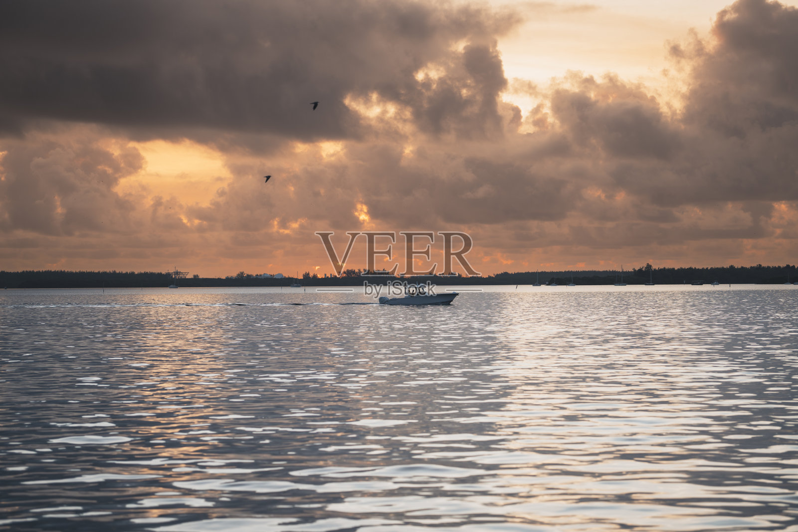 日出时分,巴伊亚布里克尔迈阿密海景照片摄影图片