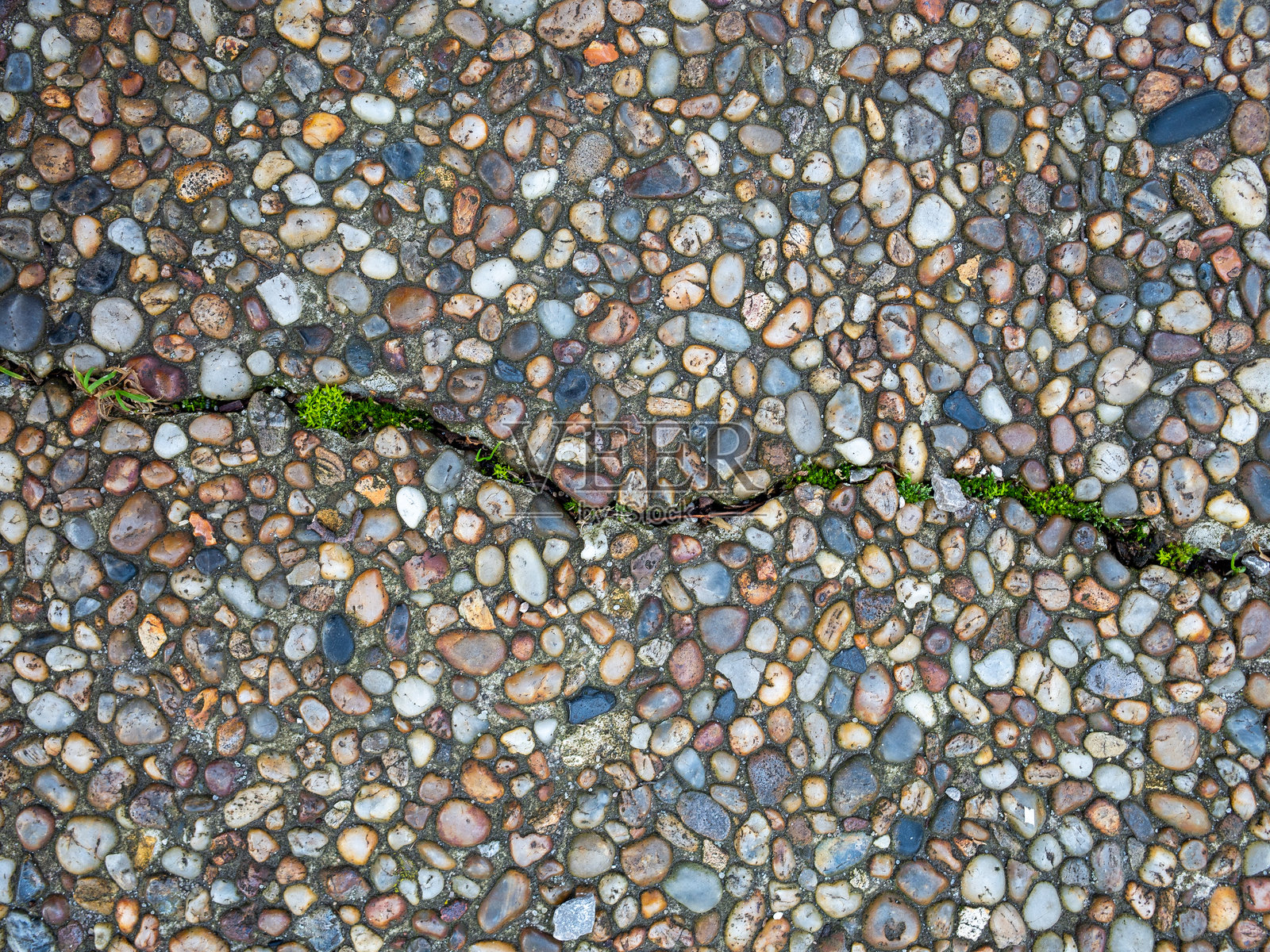 碎石中冒出的绿芽,龟裂的表面上小草展现出顽强的生命力照片摄影图片