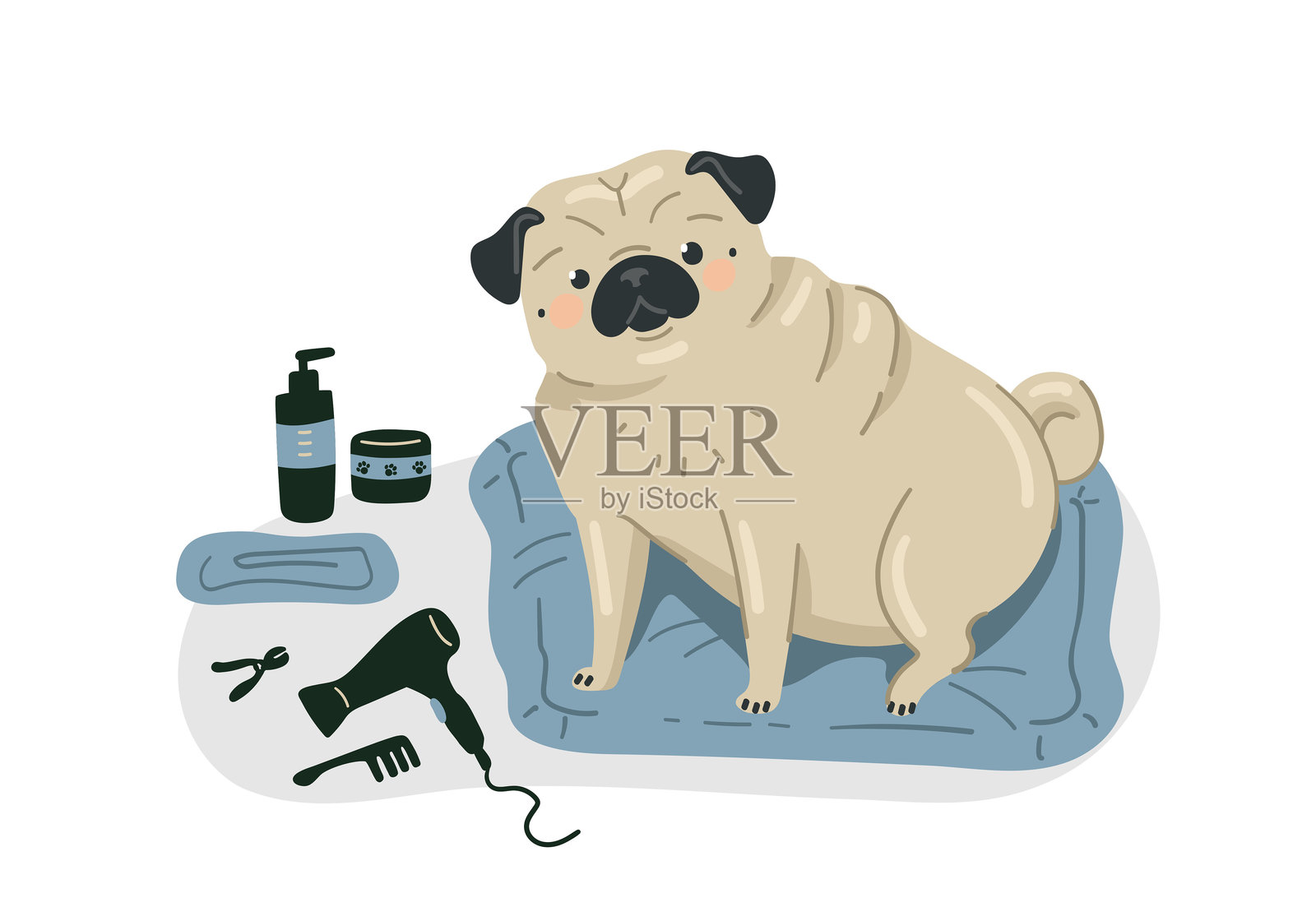 一只可爱的巴哥犬正在接受梳理的矢量插画,配有洗发水、毛巾、吹风机和梳子。扁平风格的矢量图。插画图片素材