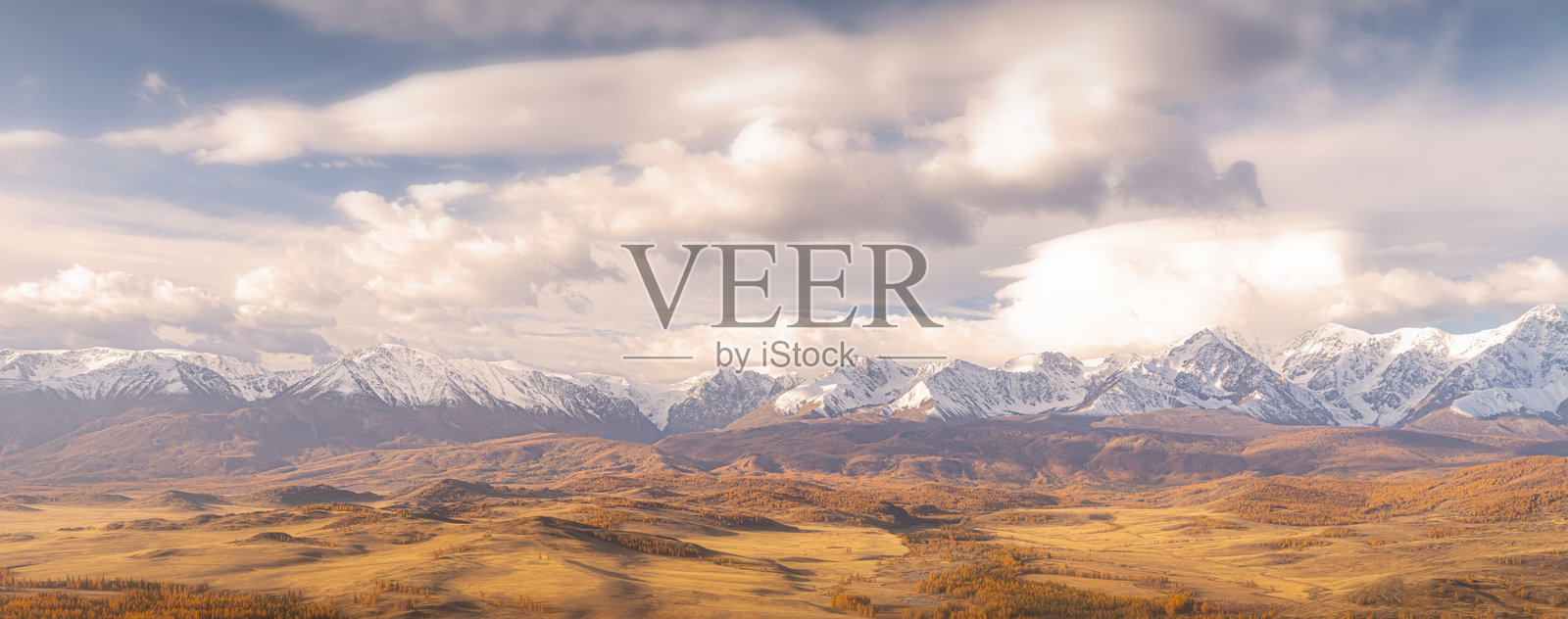 阿尔泰山令人惊叹的景色,展示了充满活力的秋季色彩,金色的山谷与白雪皑皑的山峰形成鲜明对比。这景象体现了自然之美与宁静。照片摄影图片