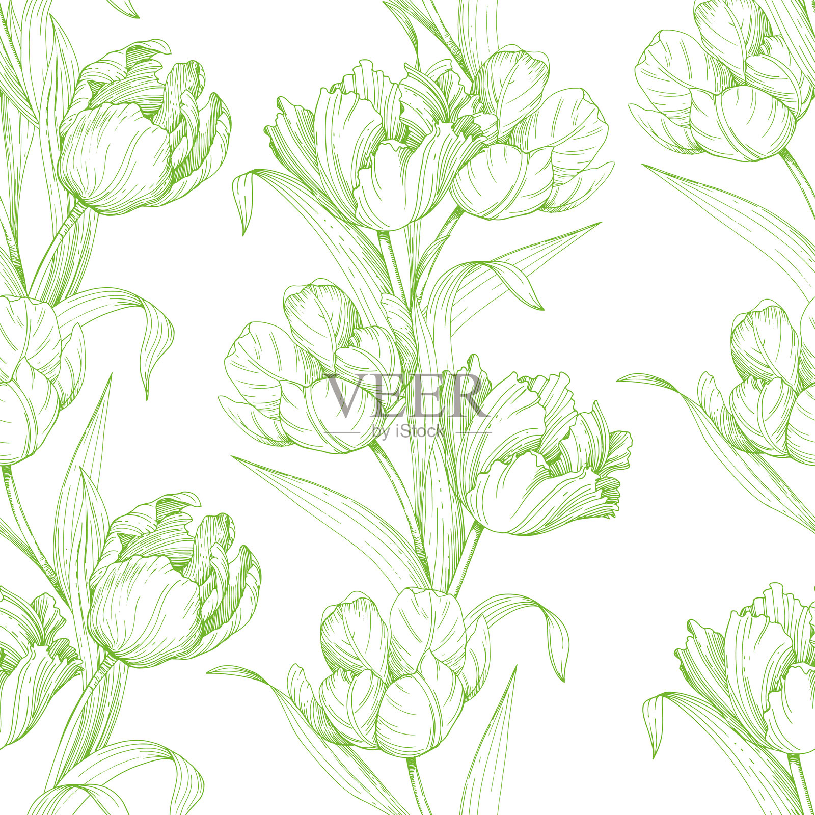 郁金香绿色轮廓无缝图案。郁金香手工墨水矢量插画。用于卡片、封面、印刷品、产品标签和织物设计。插画图片素材