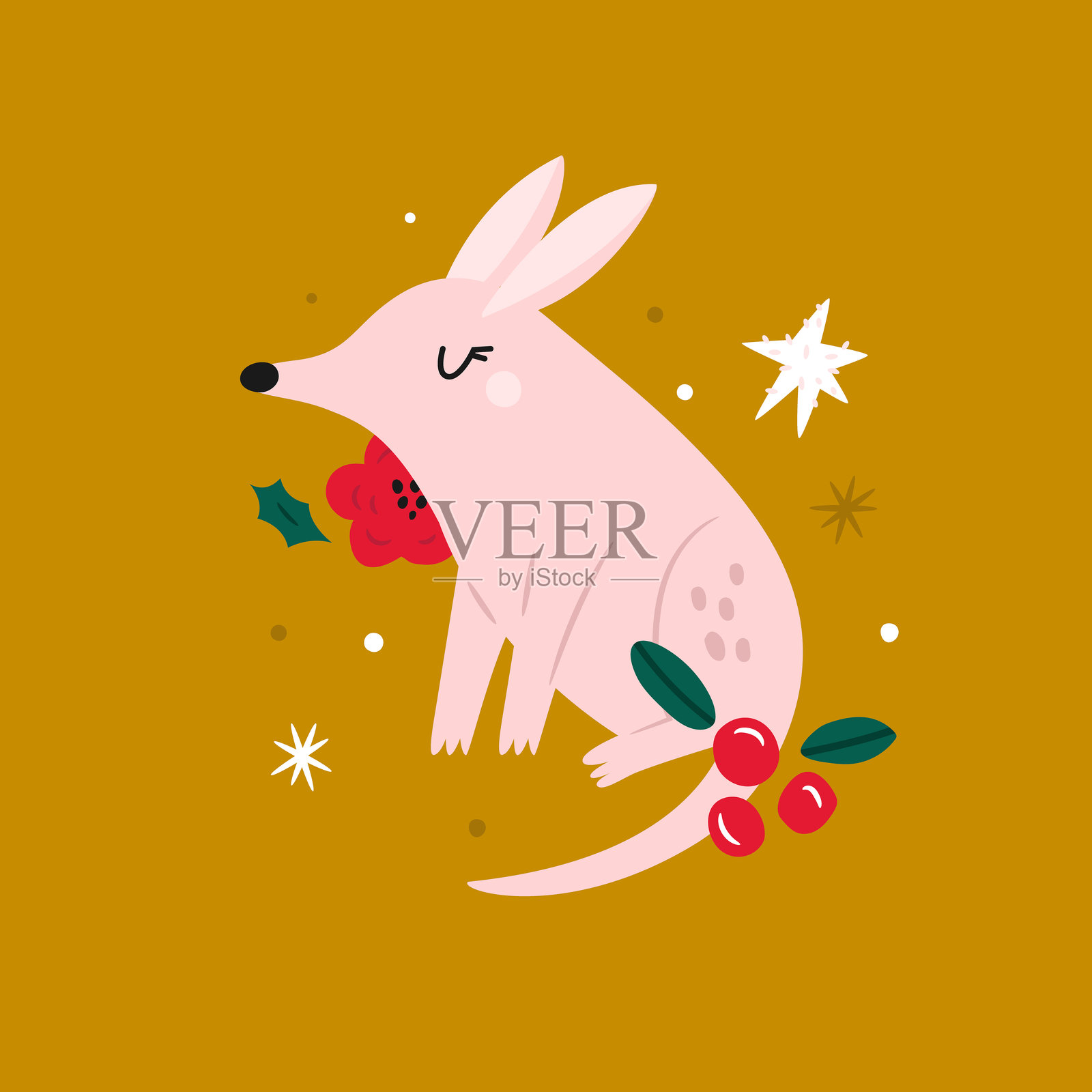 可爱的卡通澳大利亚兔耳鼩,带有圣诞冬青和红色浆果。节日插画。插画图片素材