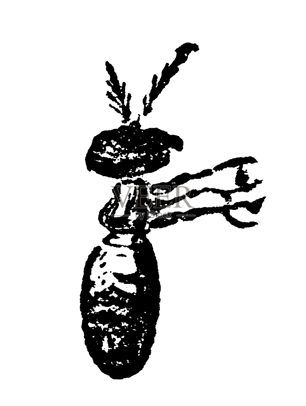 工蚁白蚁 - 19世纪插画图片素材