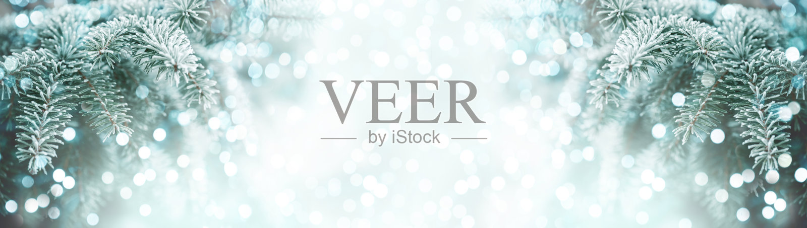 圣诞树和圣诞灯照片摄影图片