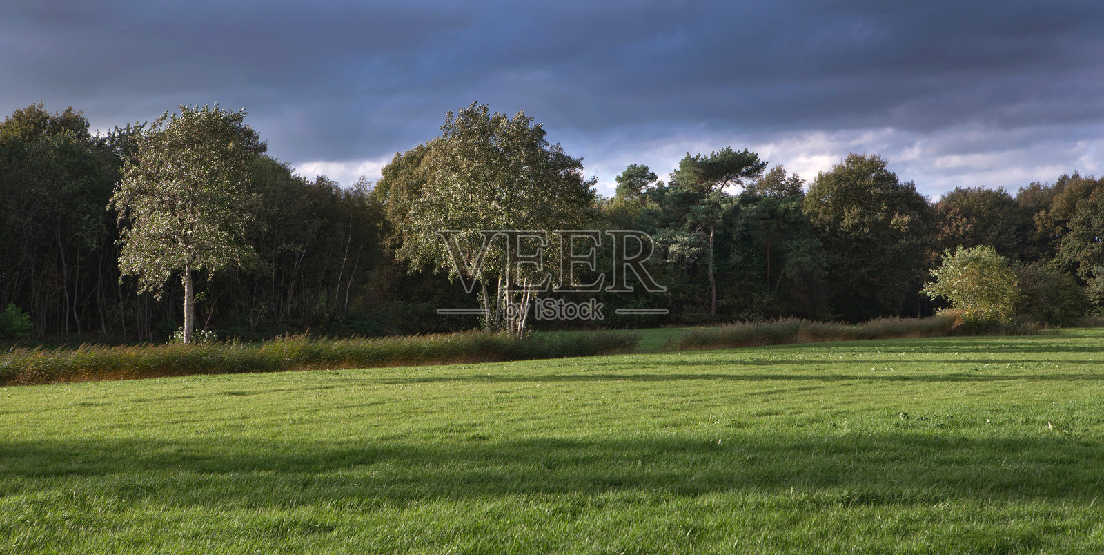 黄昏日落时分,带有草地的风景和傍晚的光线照片摄影图片
