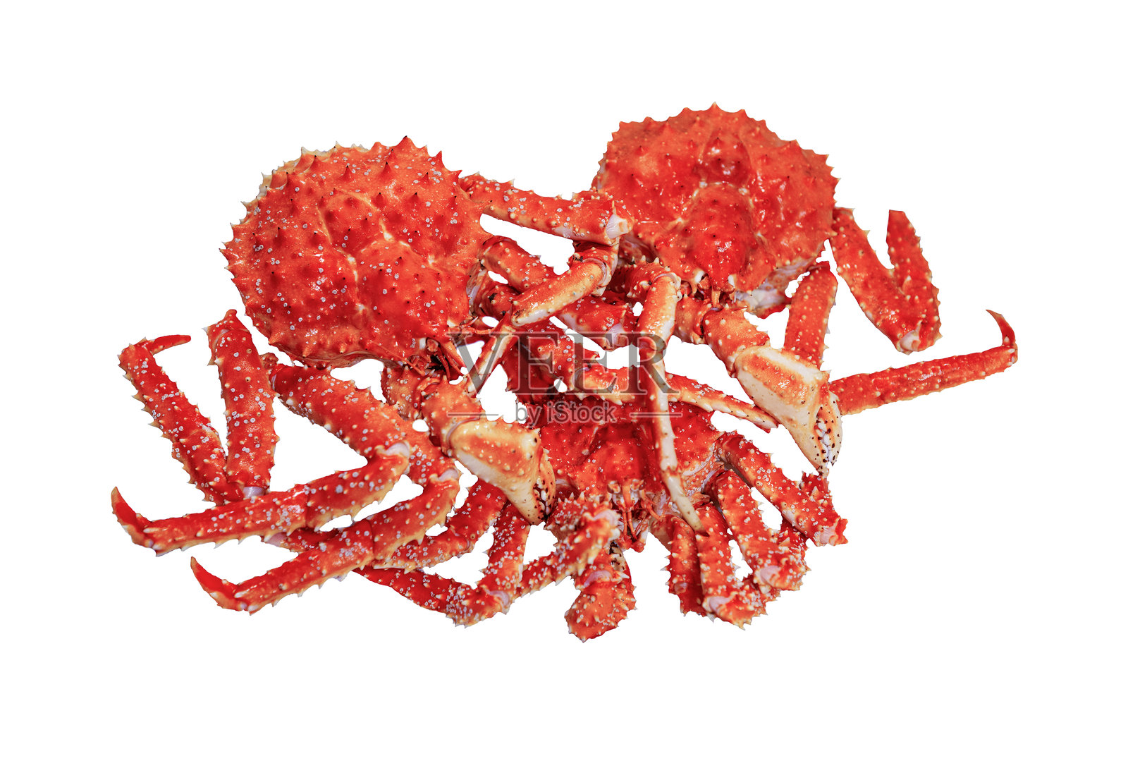 煮熟的帝王蟹,孤立。照片摄影图片