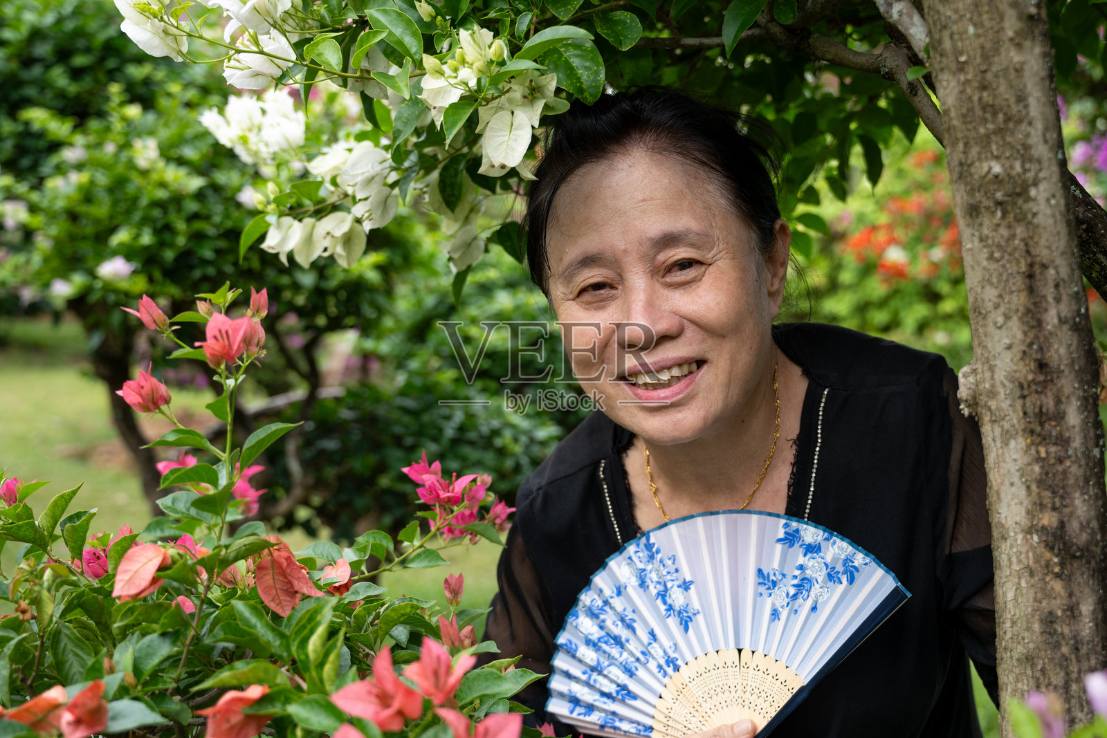 花园里,一位年长的亚洲女性在盛开的花丛中,肖像照照片摄影图片