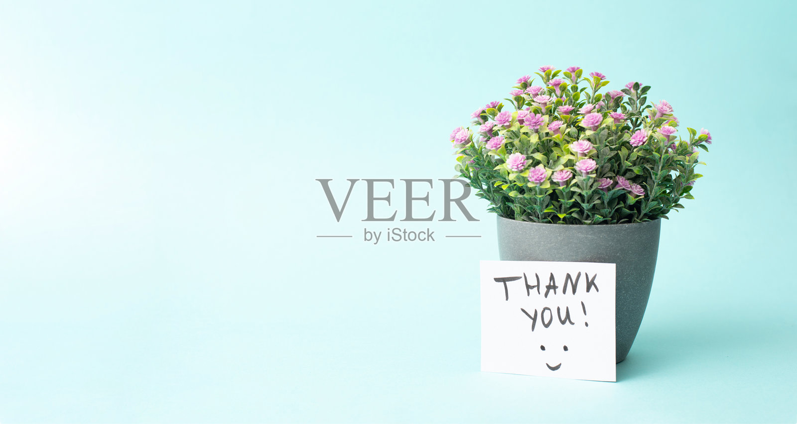 感恩节,感谢的英文单词,感恩,支持,帮助和慈善的概念,花盆照片摄影图片