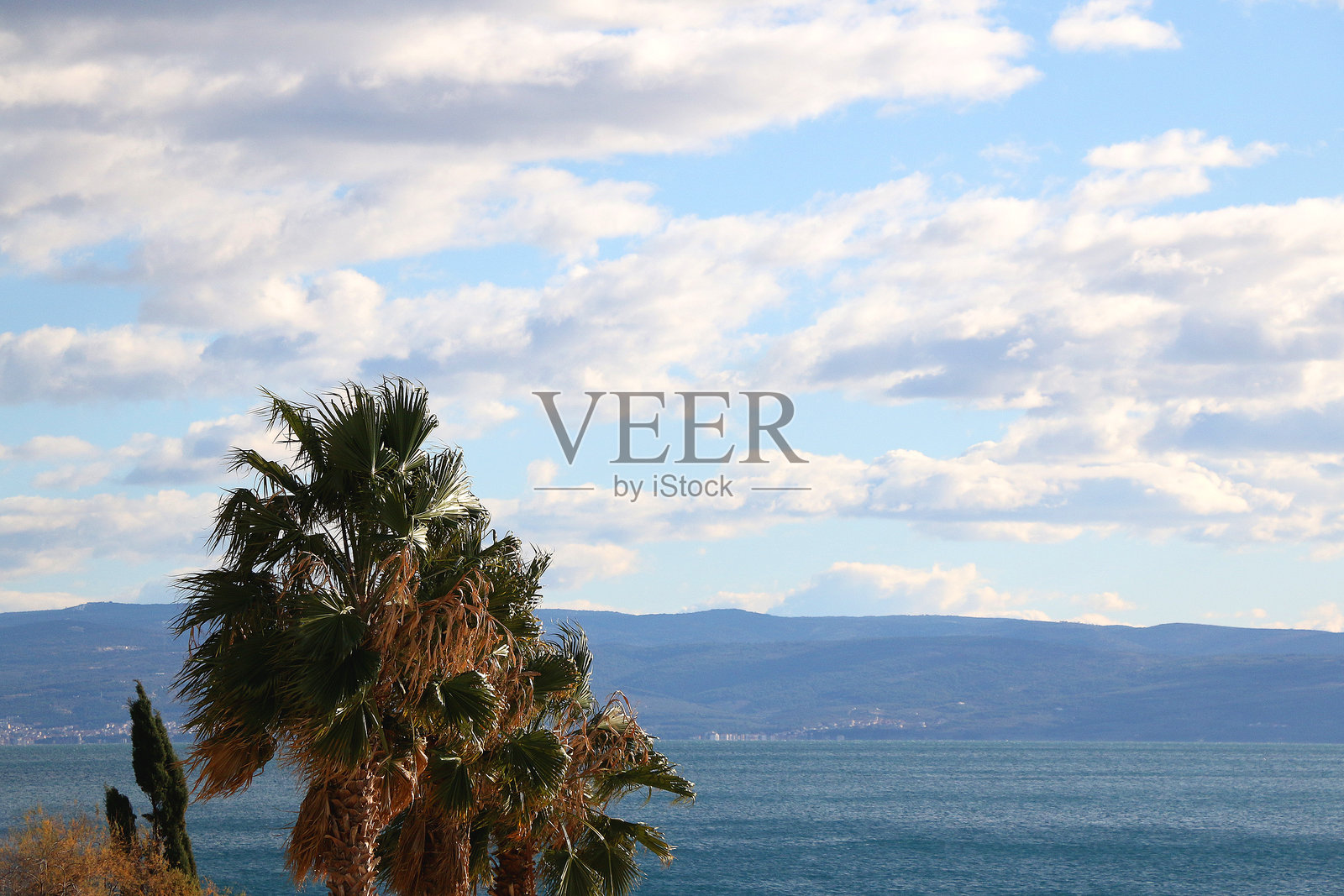 地中海花园照片摄影图片