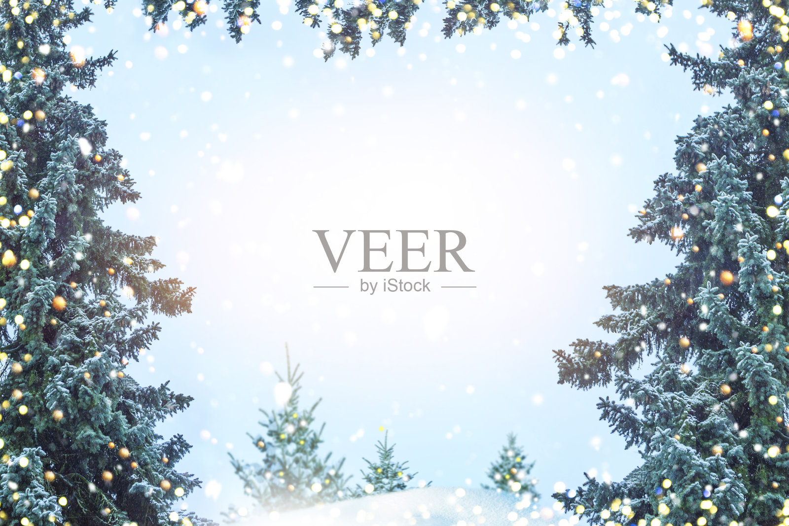 圣诞快乐贺卡。冬季森林。雪景树林。照片摄影图片