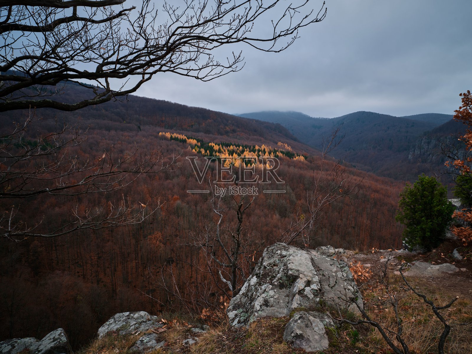 秋季山区,黄叶满山照片摄影图片