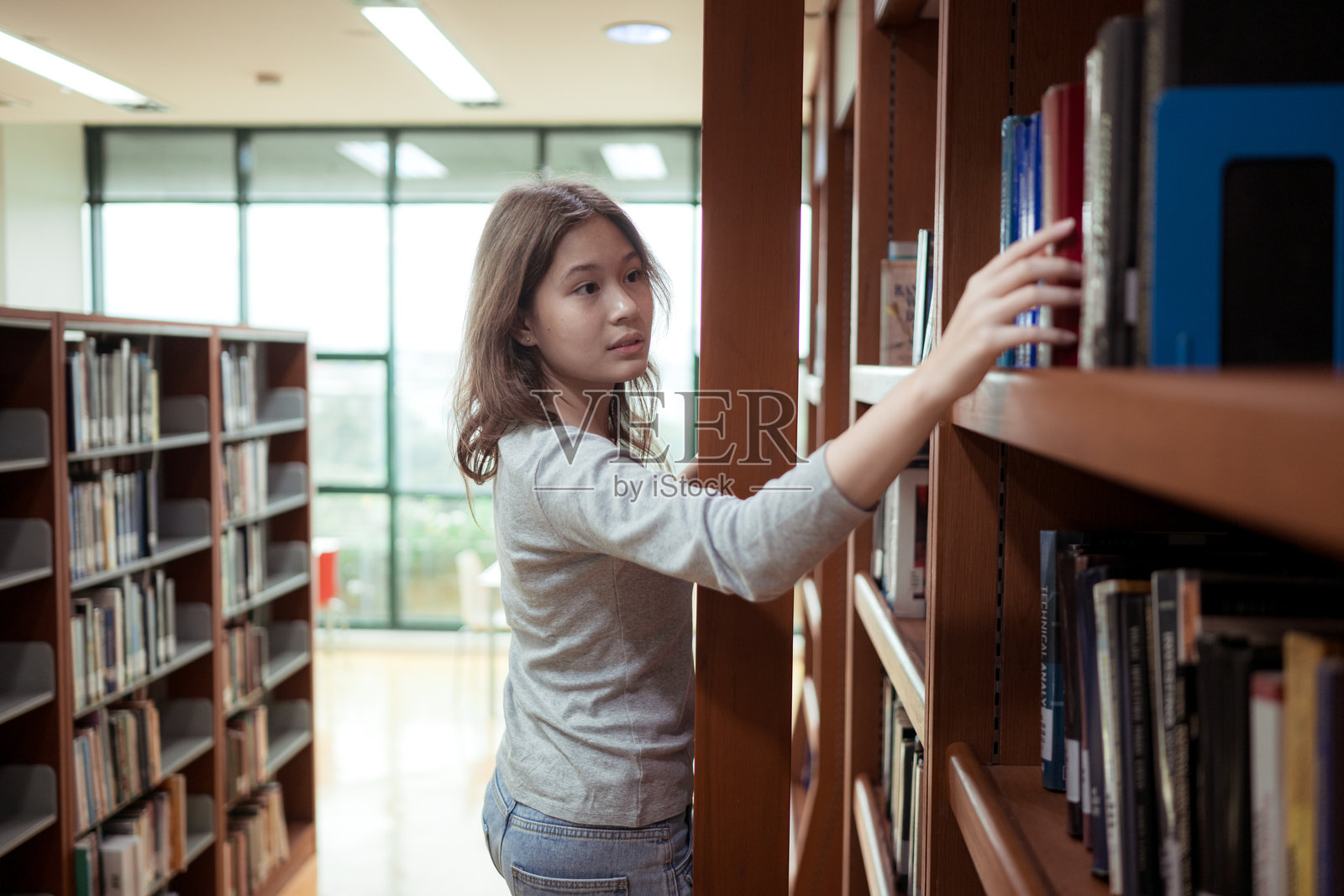 安静的图书馆走廊里的书架照片摄影图片