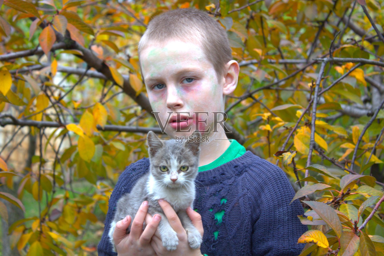 秋日肖像与一只流浪小猫照片摄影图片