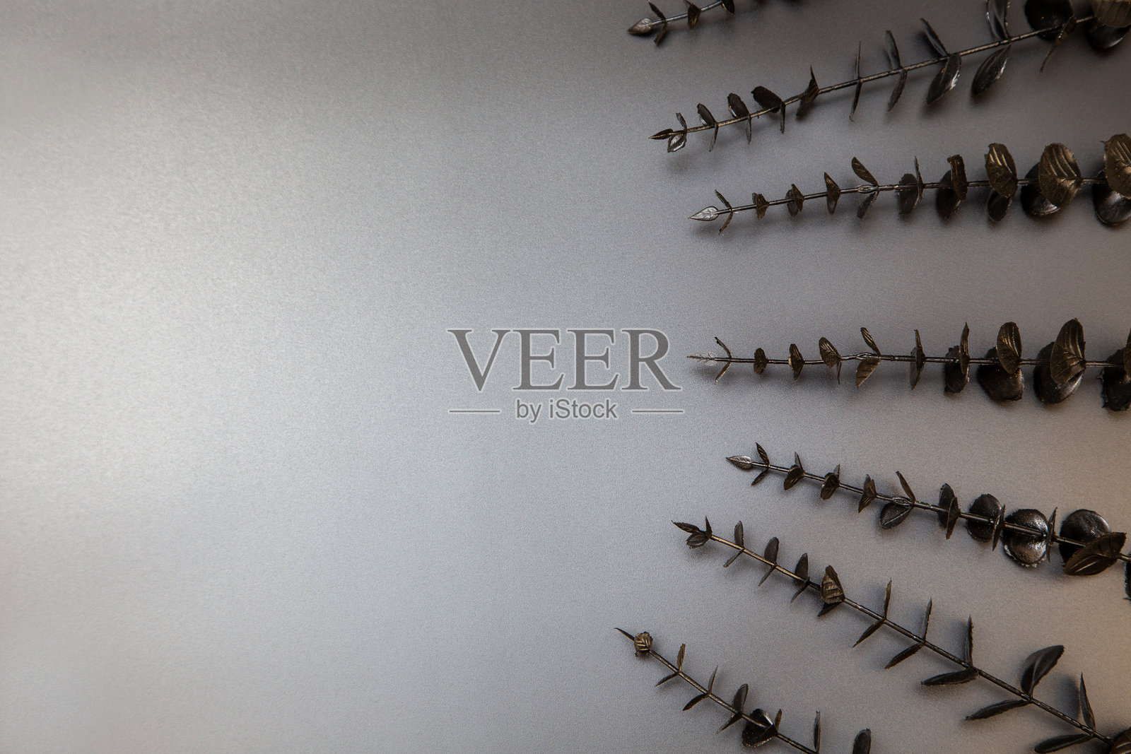 深色装饰性树枝在光滑的灰色背景上构成极简主义构图,留有空白空间供文本放置。照片摄影图片