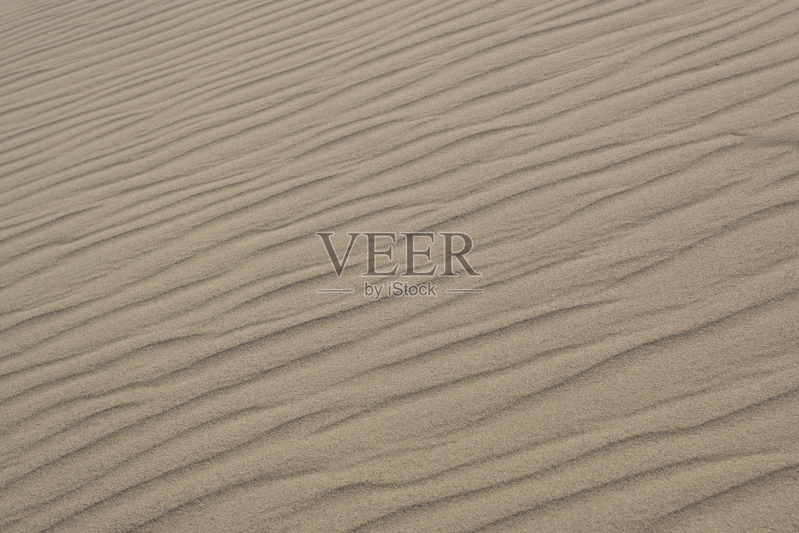 日本鸟取县鸟取沙丘照片摄影图片