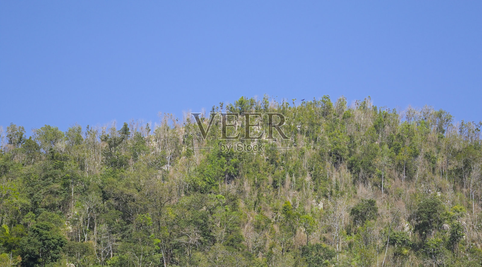 蓝天、山峦与绿树照片摄影图片