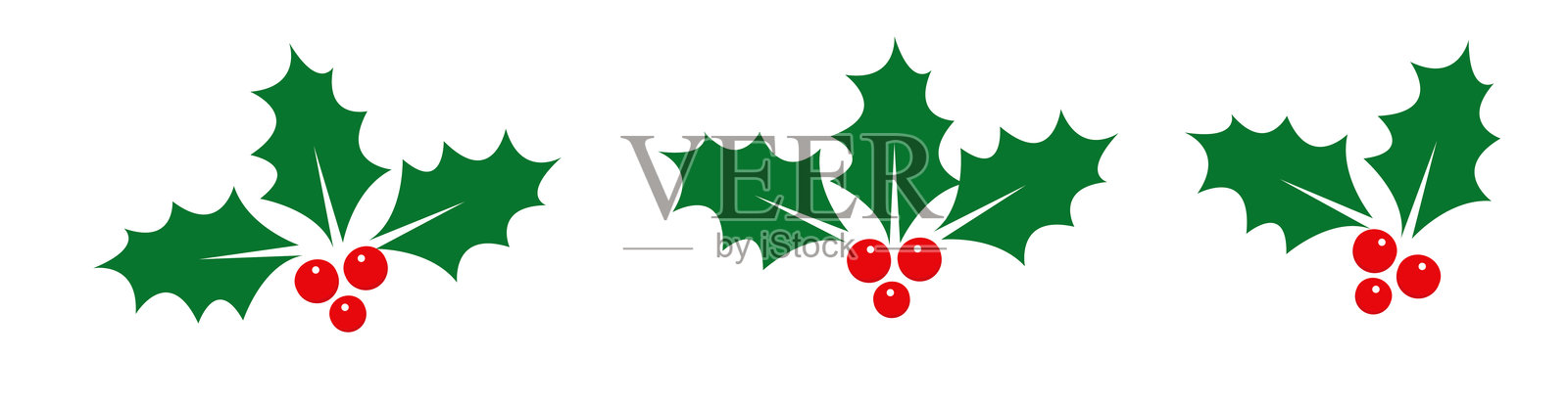 圣诞冬青浆果叶片。矢量图。插画图片素材