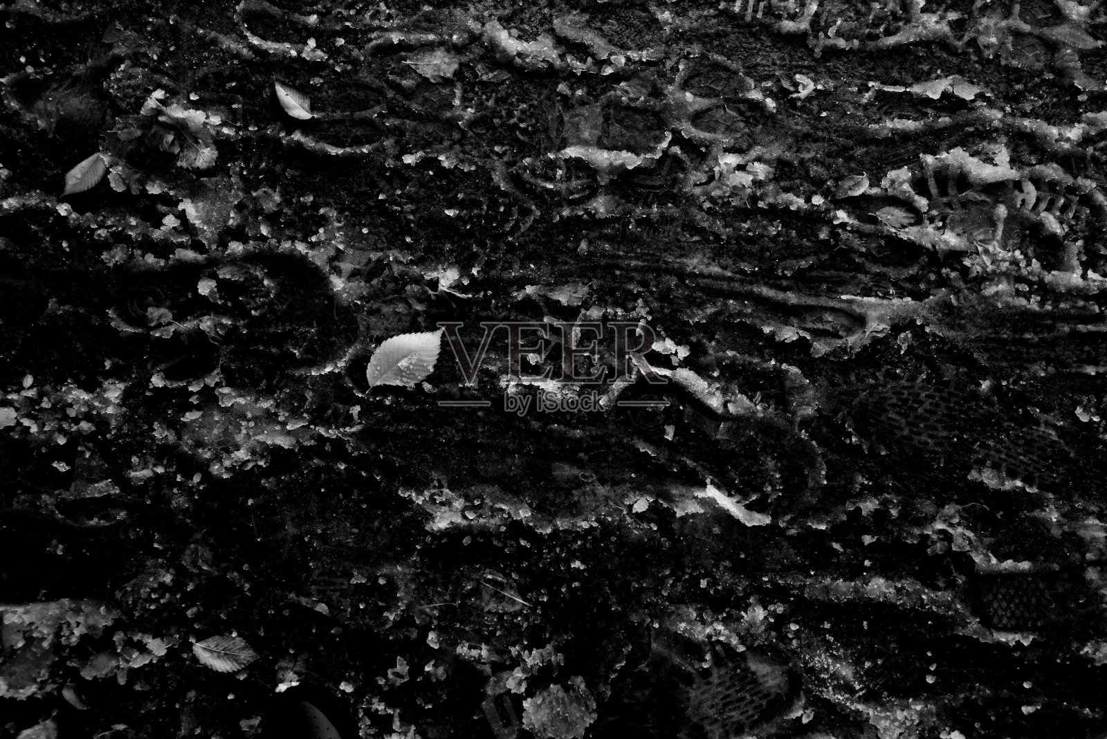 抽象唯美的冬季背景:一片椴树叶落在细腻的粉状雪地上。照片摄影图片