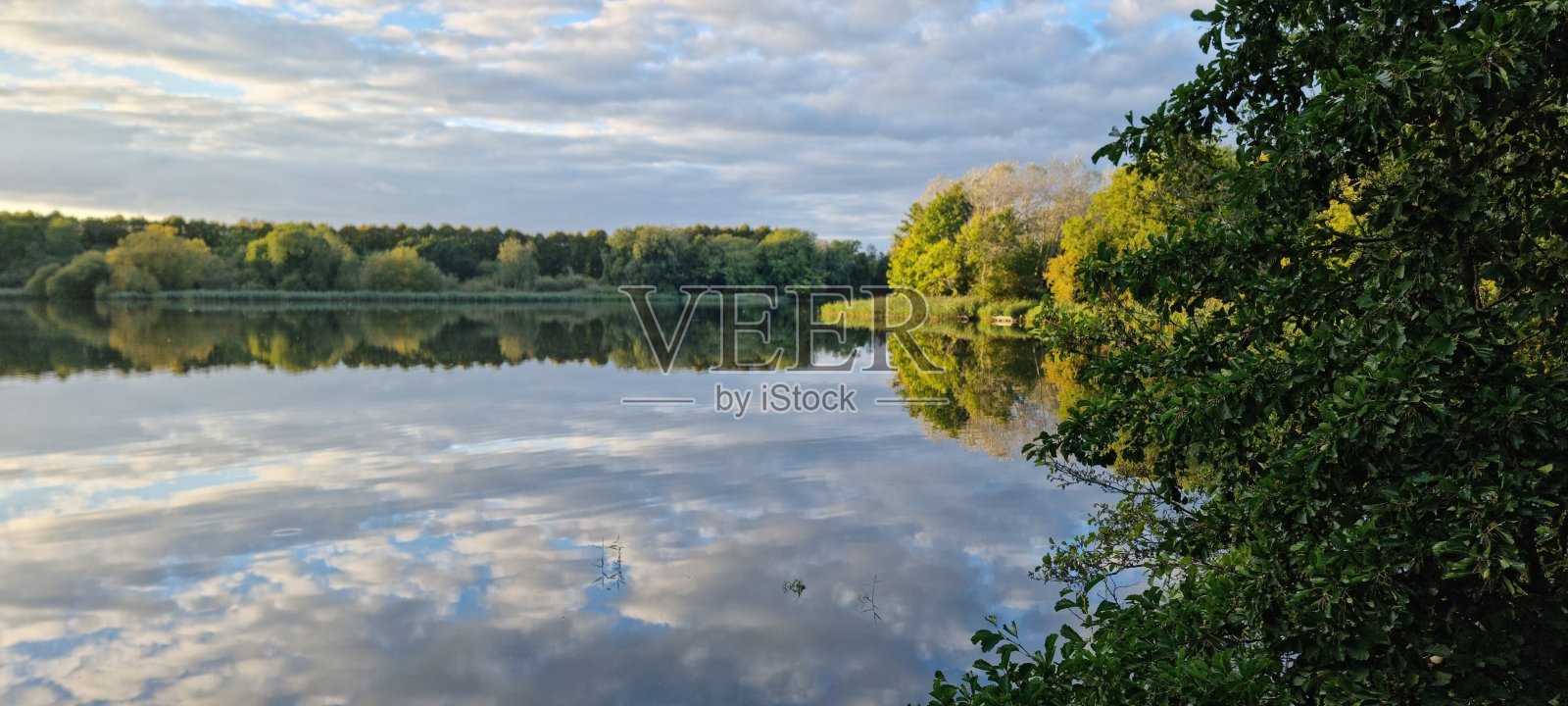 自然照片摄影图片