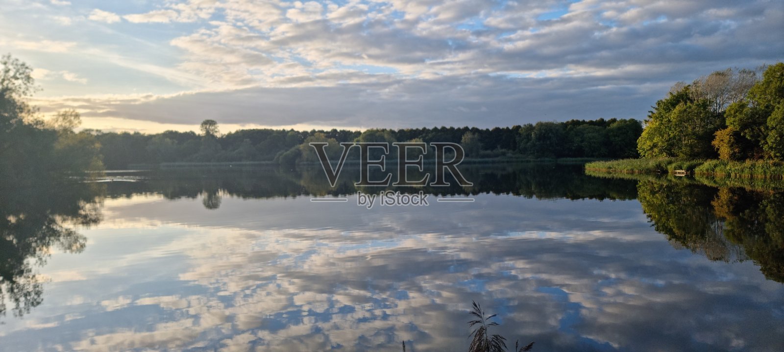 自然照片摄影图片