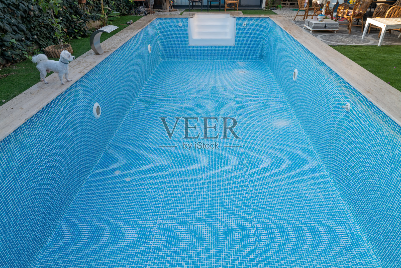 已清洁的空游泳池照片摄影图片