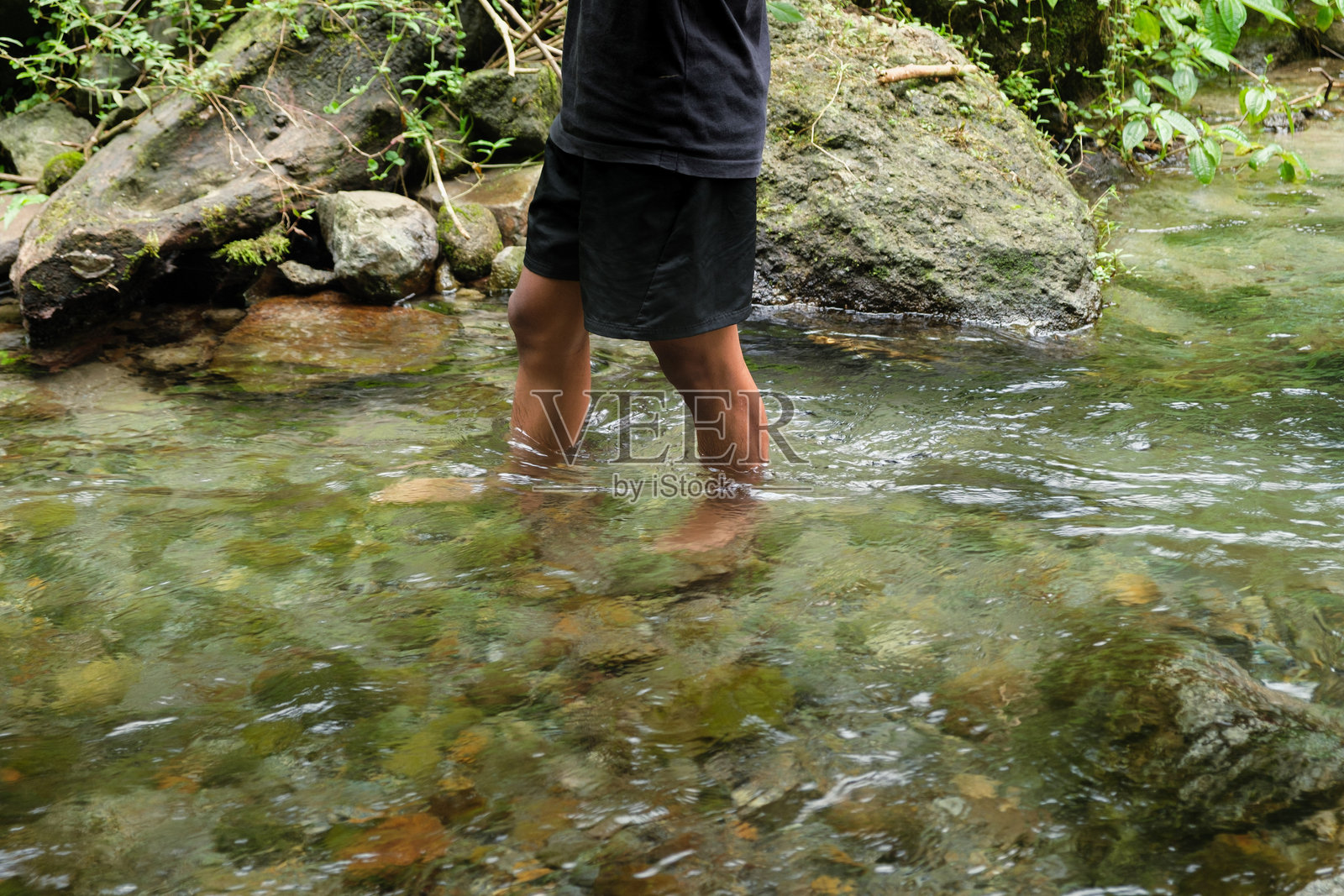 一个人趟过岩石和葱郁绿植间的清澈溪流照片摄影图片