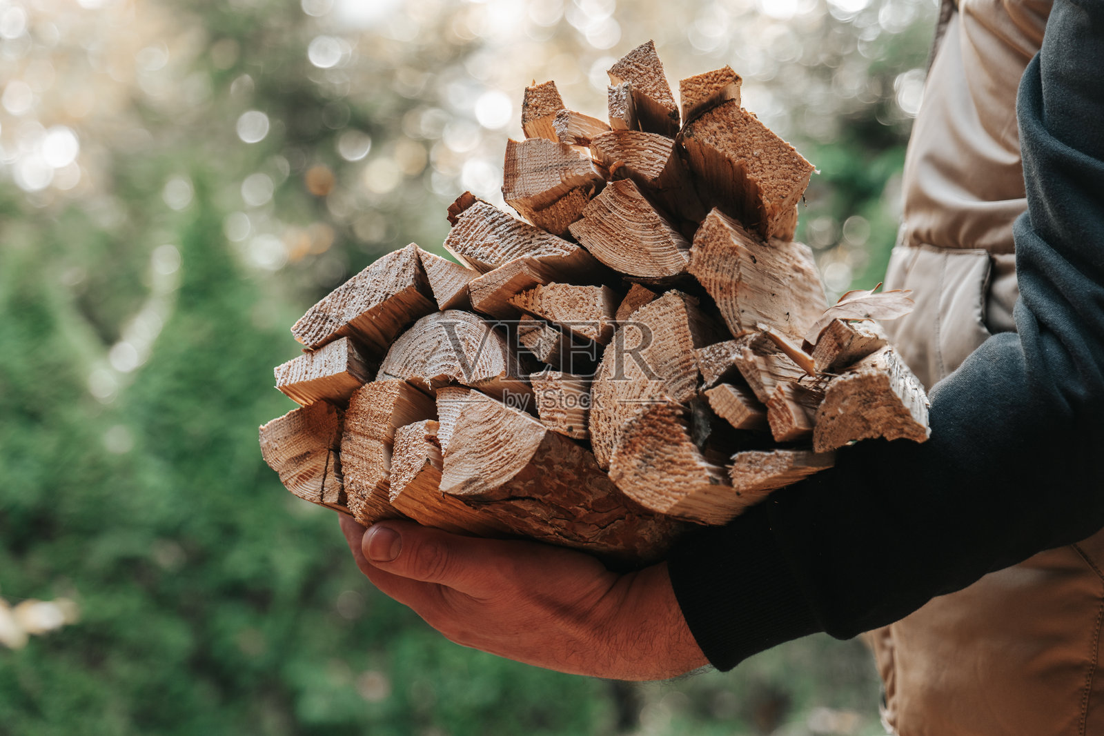 男人在院子里手里拿着一堆柴火。供暖季。固体燃料。为供暖季准备柴火。天然热源和房屋供暖。照片摄影图片