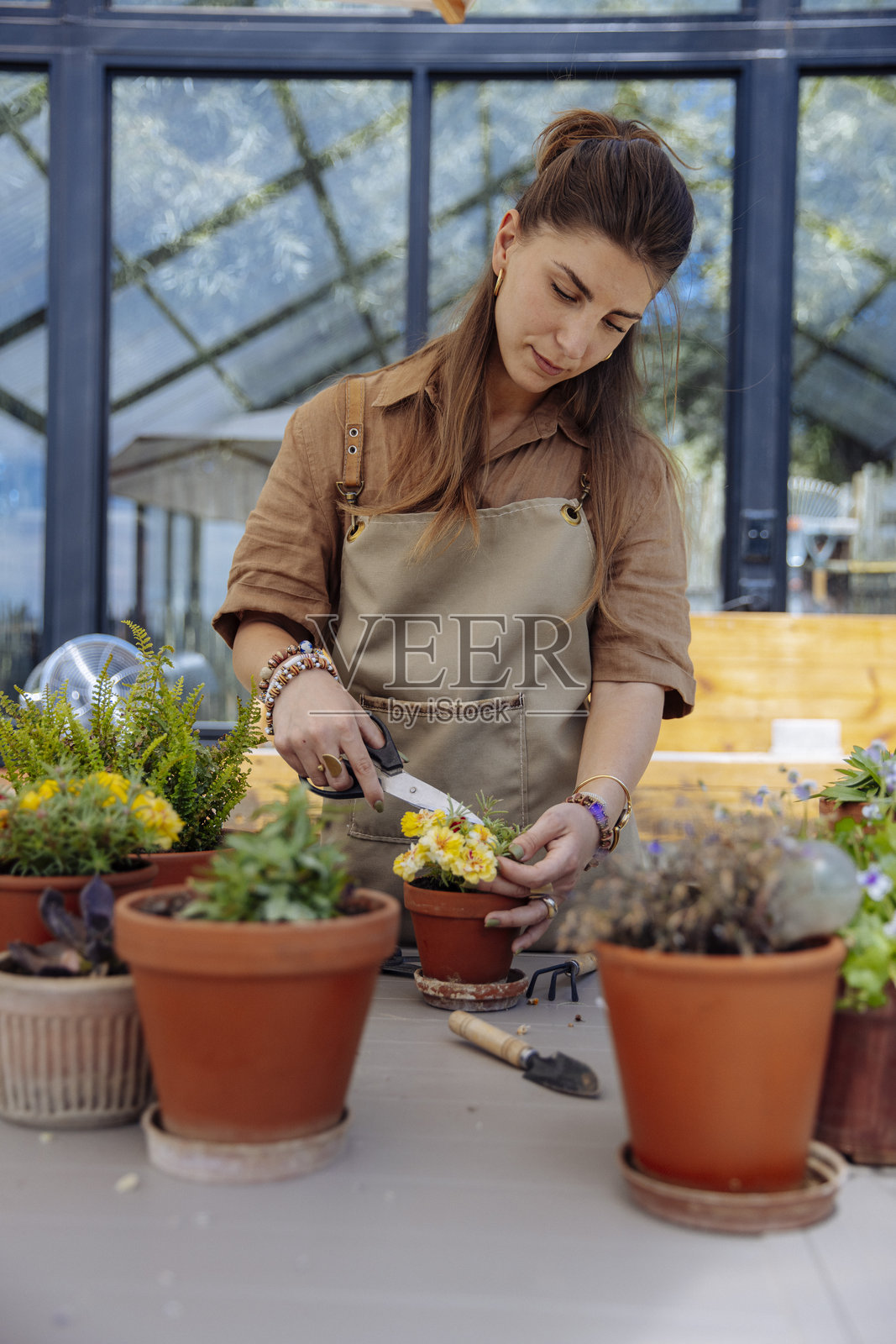 女园丁在温室里照料花卉照片摄影图片