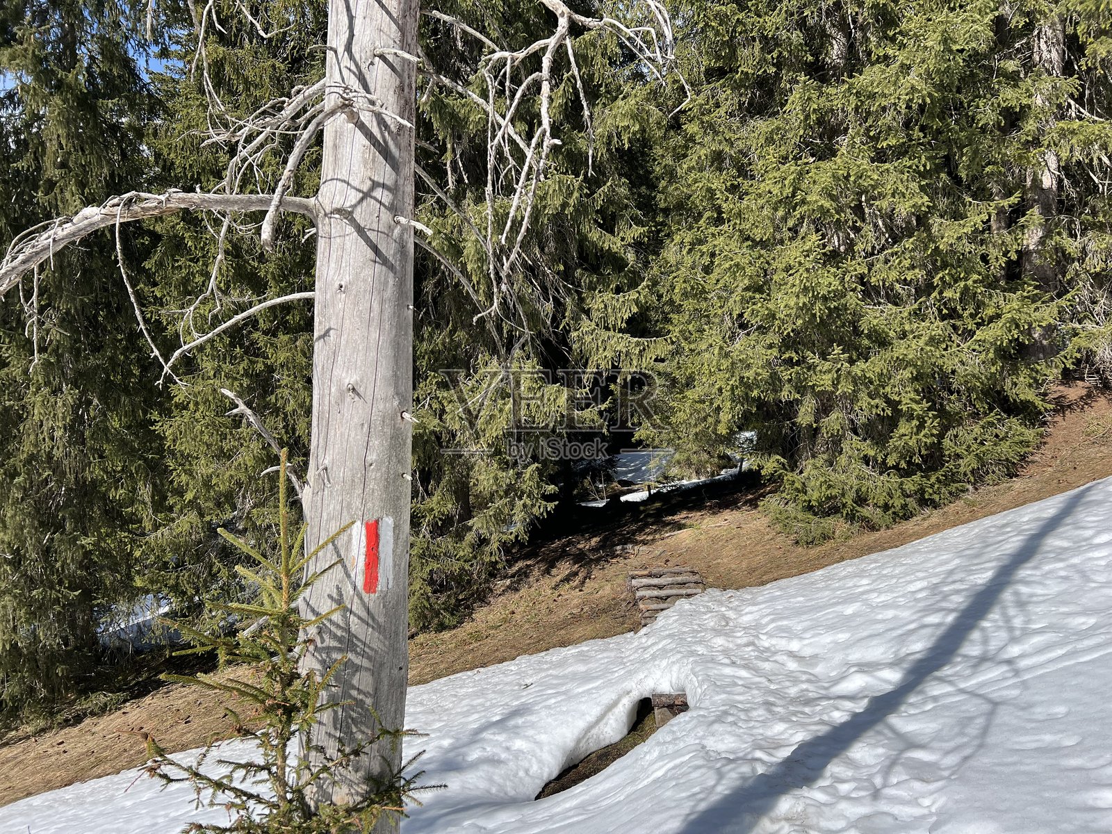 瑞士阿尔卑斯山和联合国教科文组织生物圈恩特勒布赫田园诗般的冬季氛围中的徒步标记和导航指示牌,瑞士 - Wandermarkierungen, Schweiz照片摄影图片