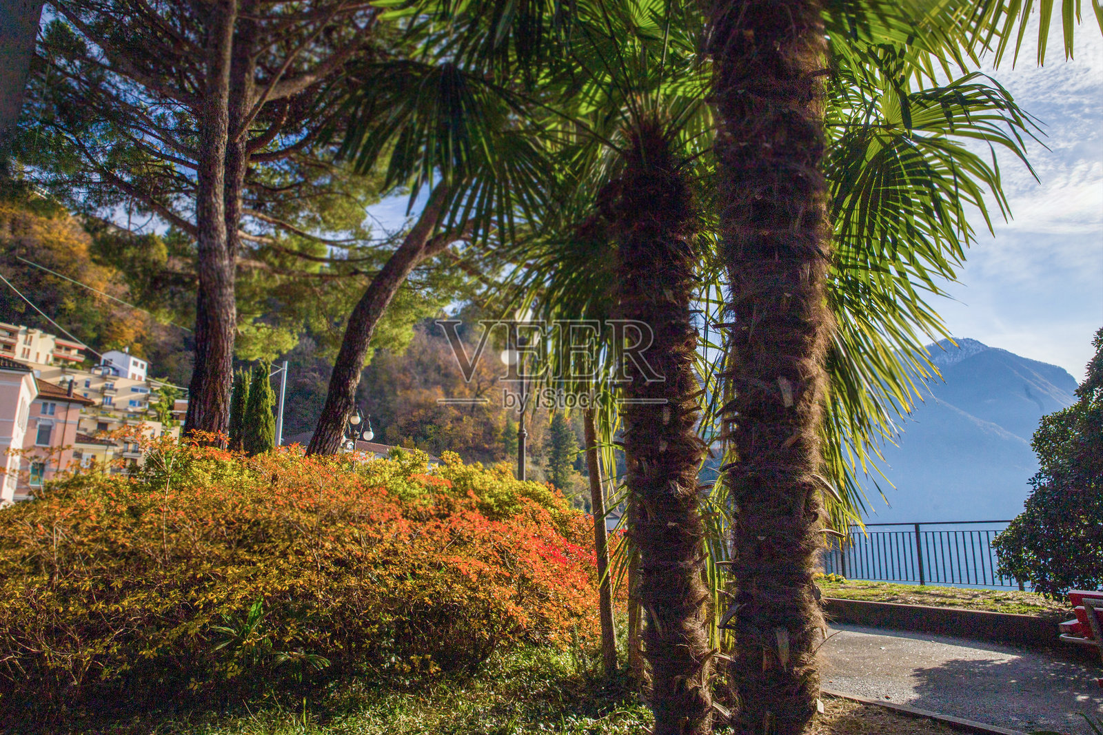 秋季色彩斑斓的奇亚尼公园,位于瑞士卢加诺市照片摄影图片