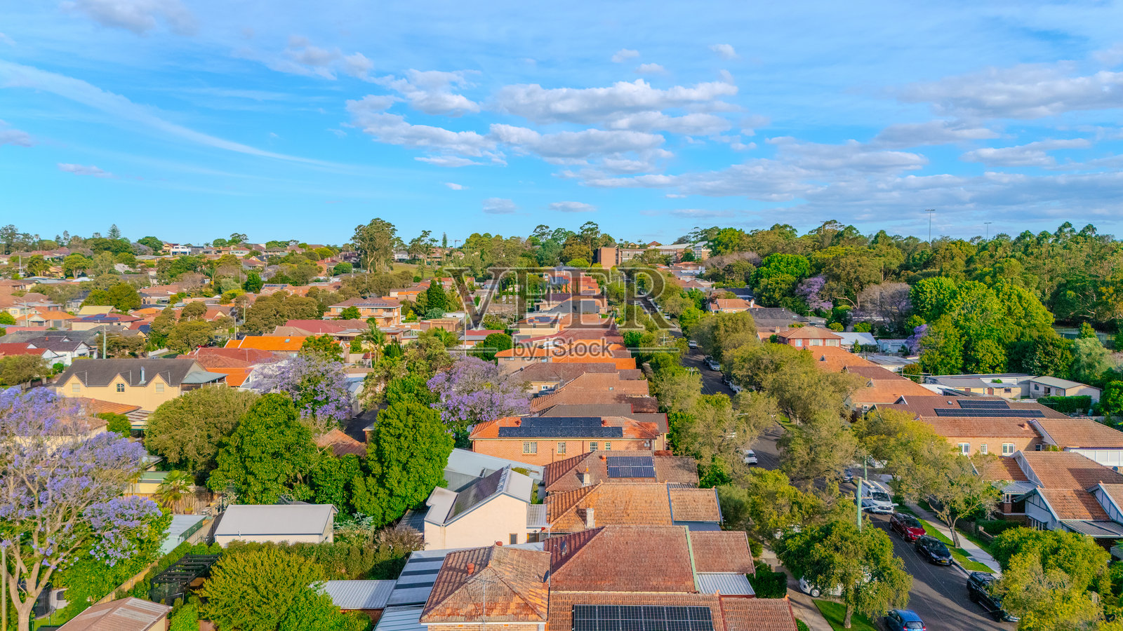 无人机航拍悉尼内西区阿什伯里郊区的鸟瞰全景,展示了城市蔓延、红瓦屋顶、街道和新南威尔士州澳大利亚郊区悉尼的树木。照片摄影图片