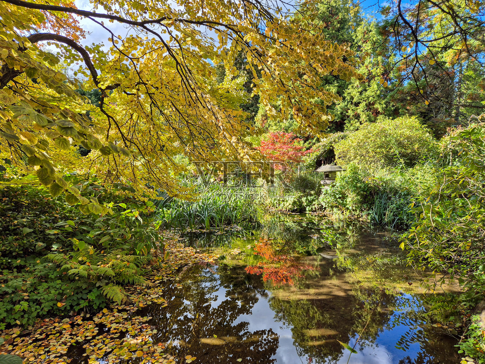 游客在诺丁汉郡纽斯泰德修道院的日式庭园中游览照片摄影图片